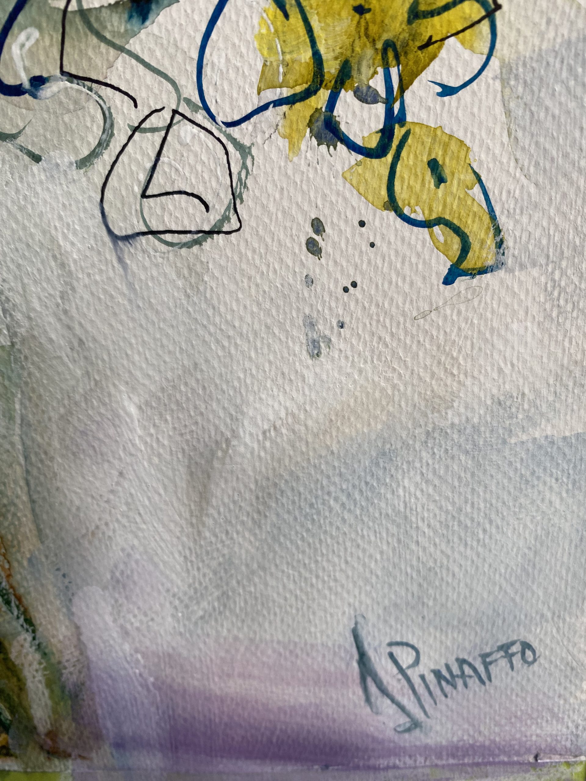 Native Bunch #21 (3)