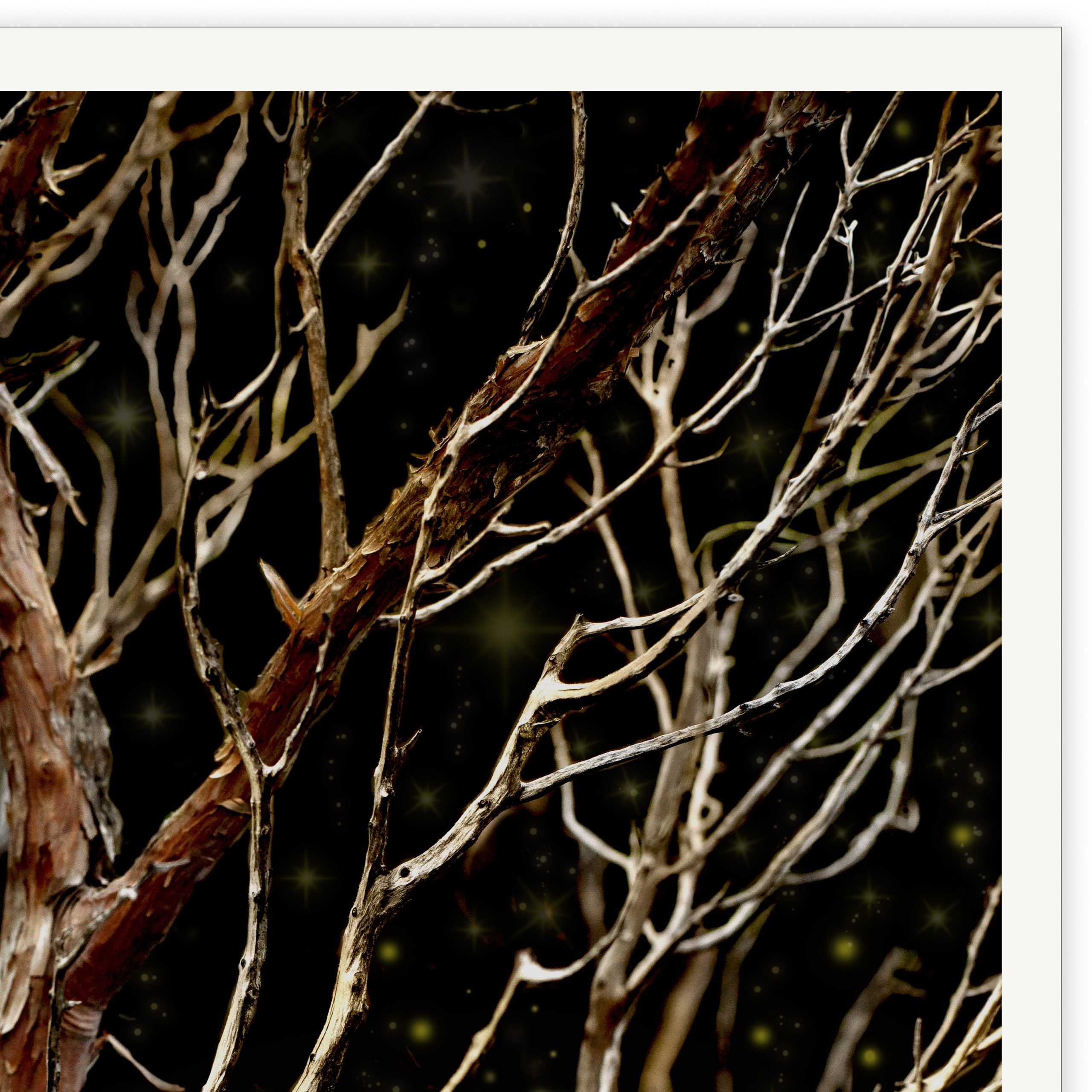 Threelittlebirds Detail02