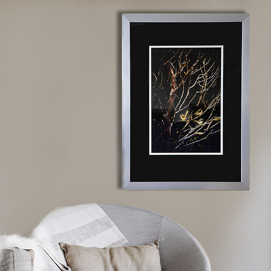 Threelittlebirdsinhome