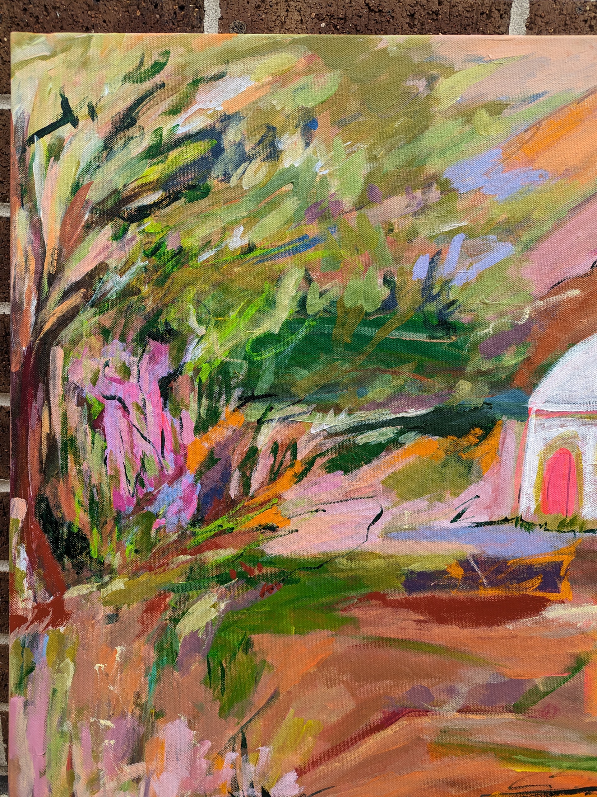 Pxl 20240117 230959012