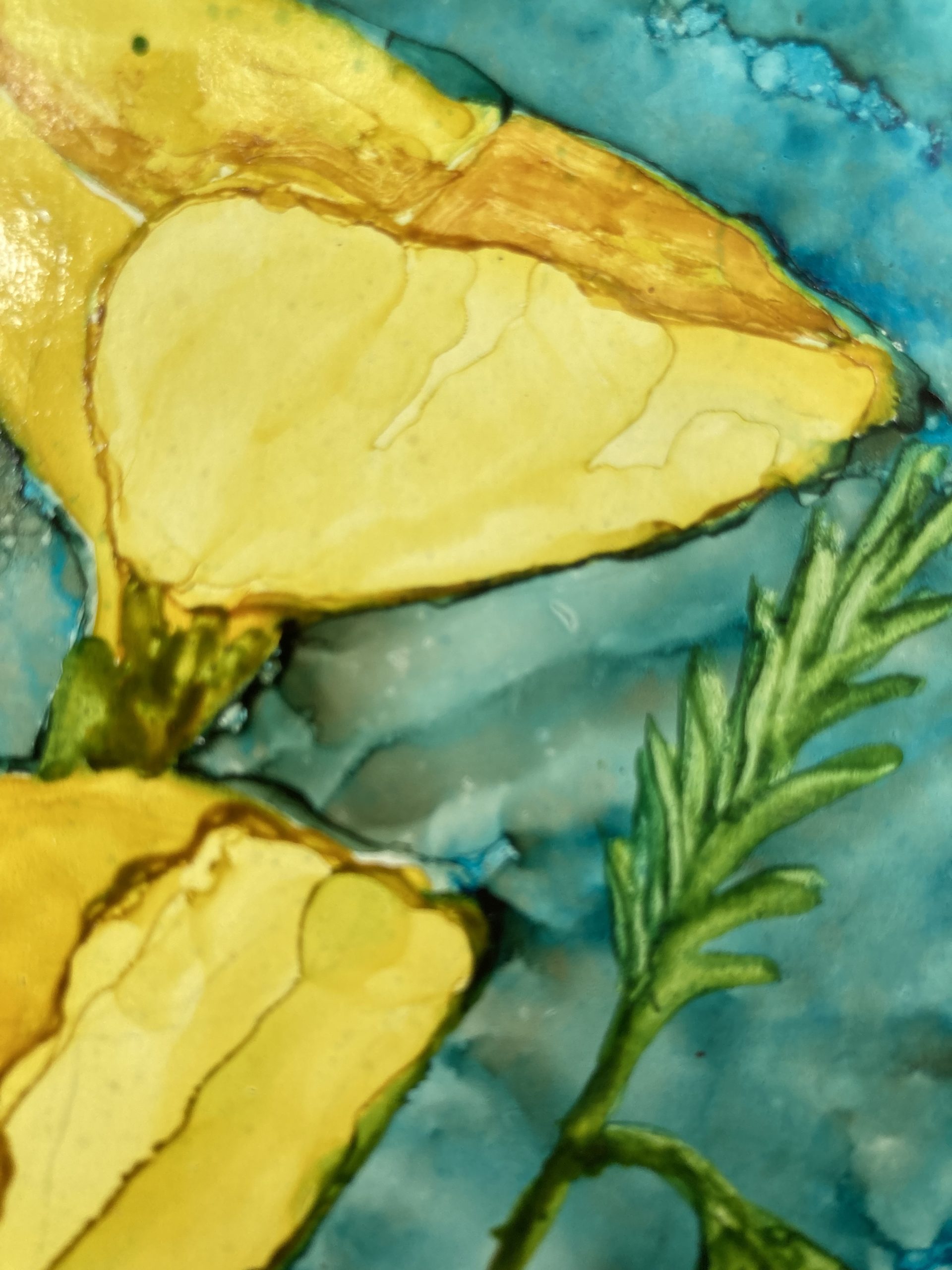 322 Yellow Poppiesdetail