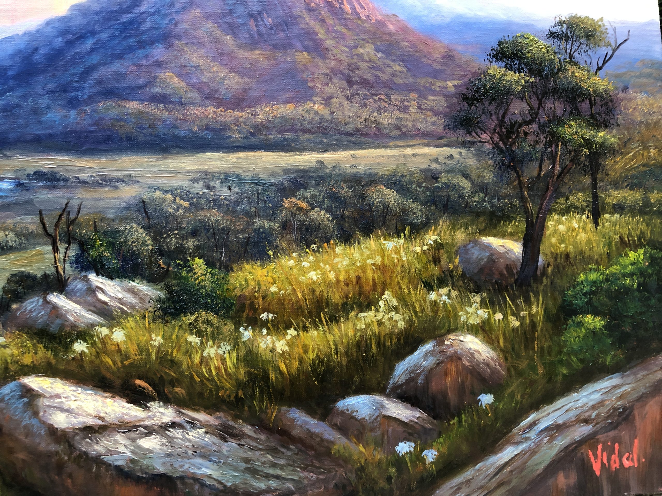 829864b5 B7e6 4866 B2c5 1a6aa71d8bcd