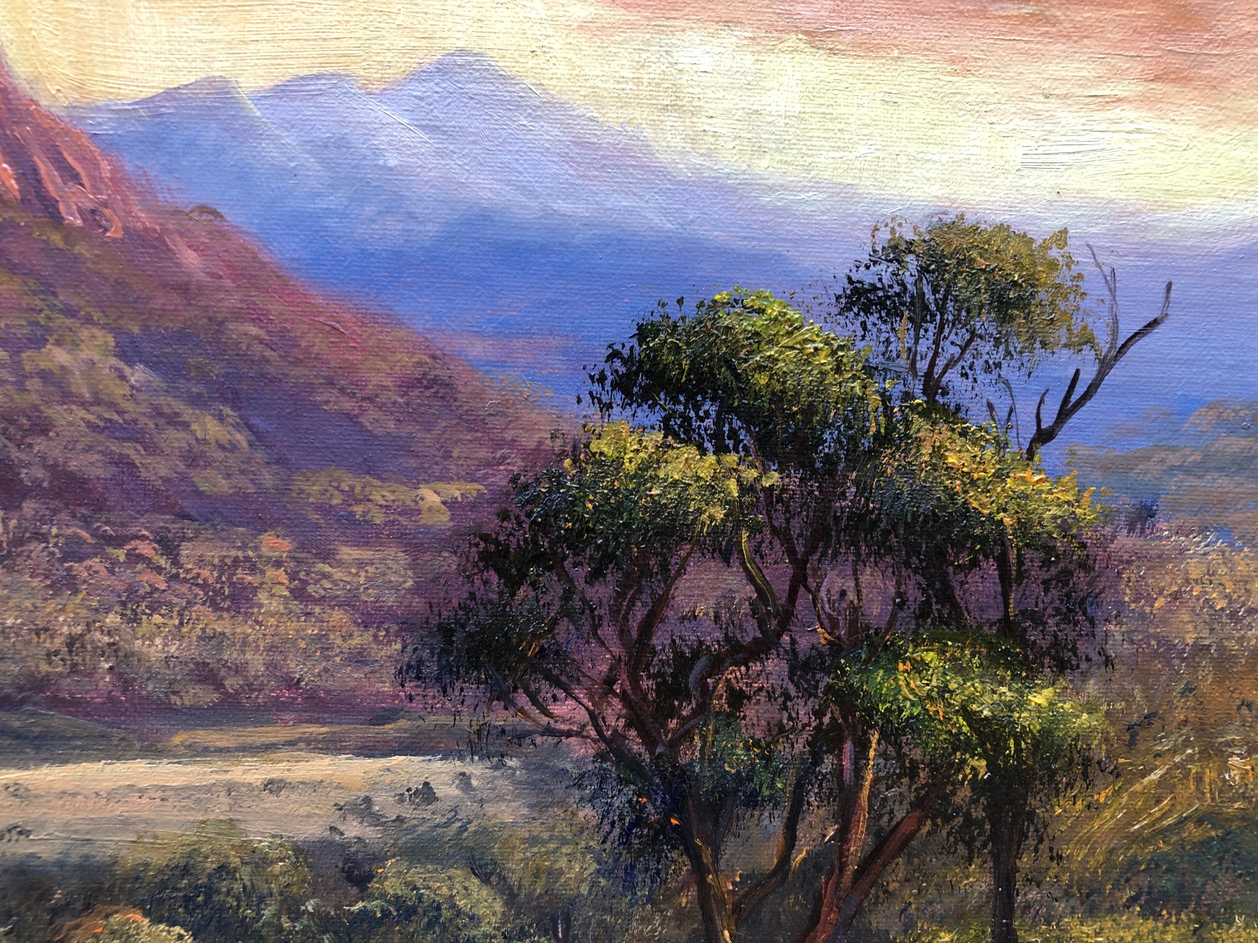 A56246e1 A513 4022 99d6 750c741423ce