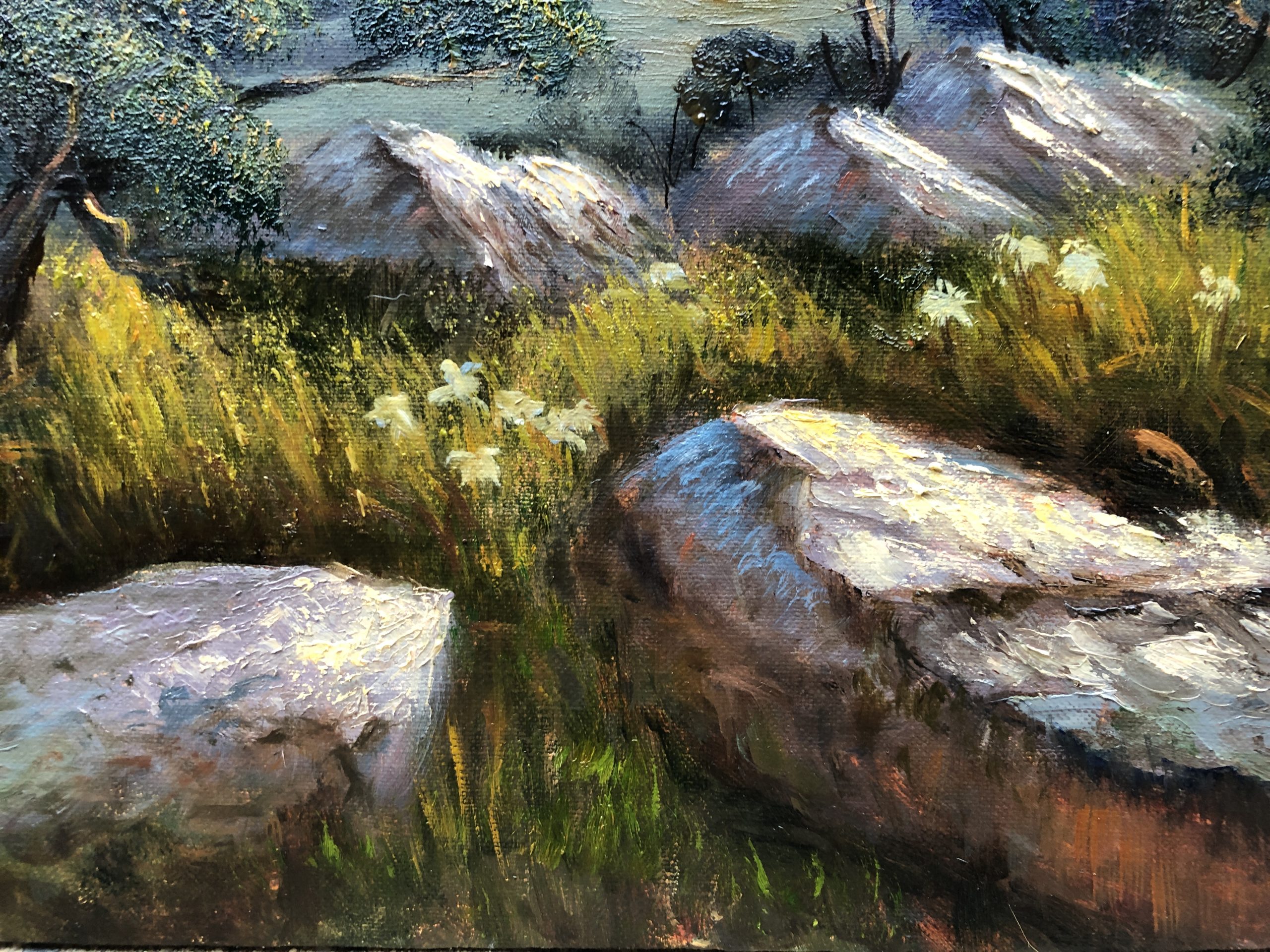 E1de3ea4 Afbf 4dcd 8d2a 519230241937