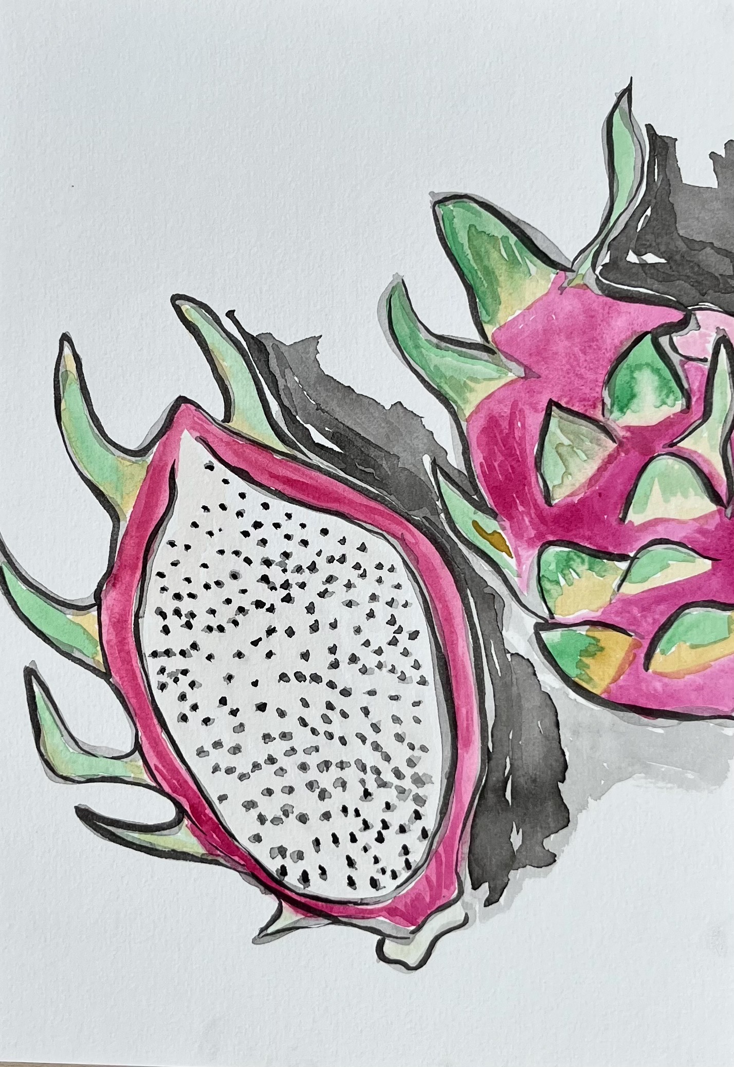 Dragon Fruit - Art Lovers Australia