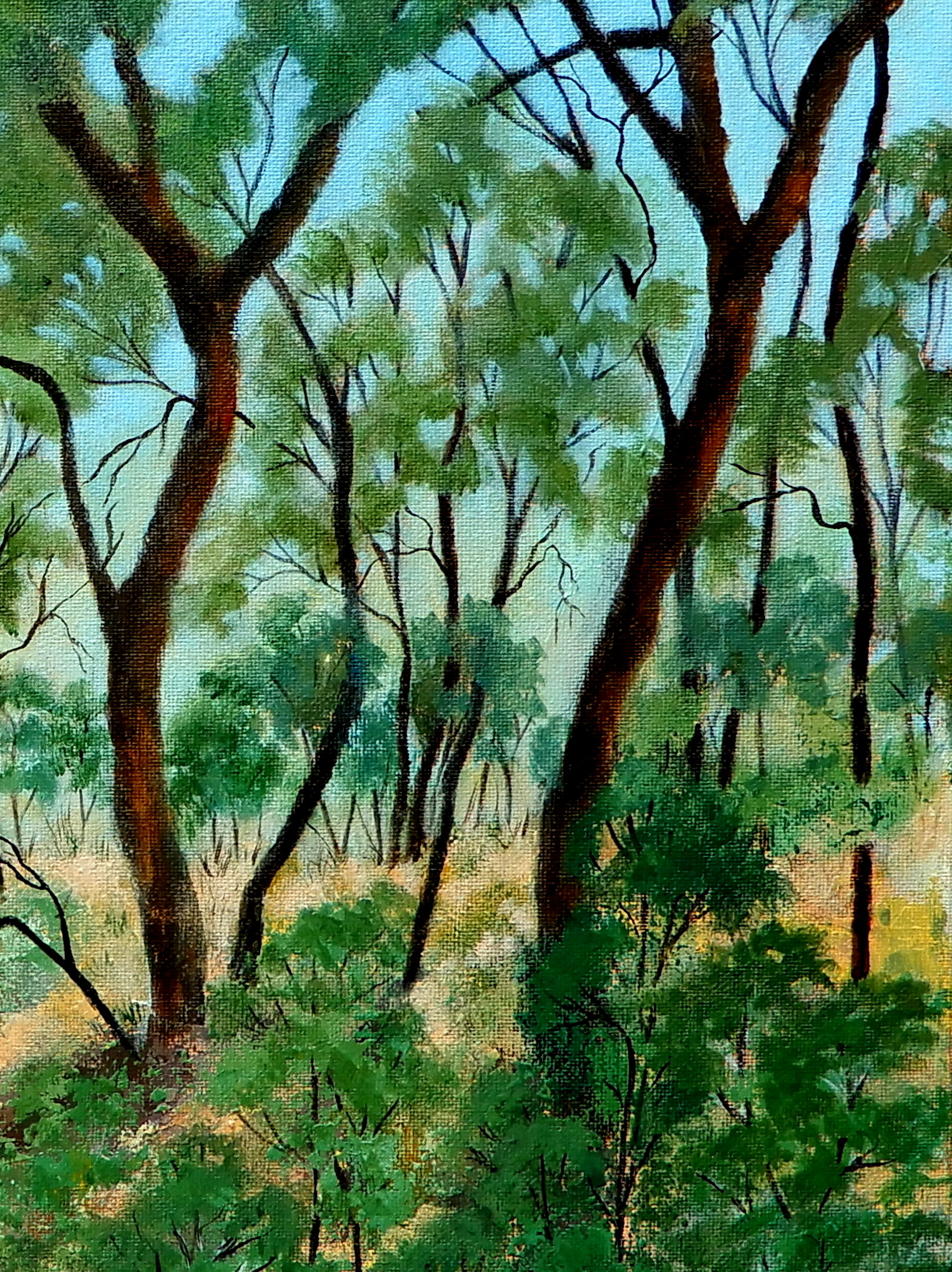 Doodie Herman Whispering Creek Landscape 005