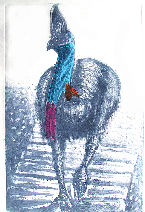 Etching. Cassowary Sm