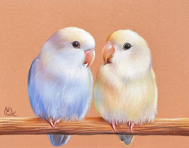 Pastel Lovebirds