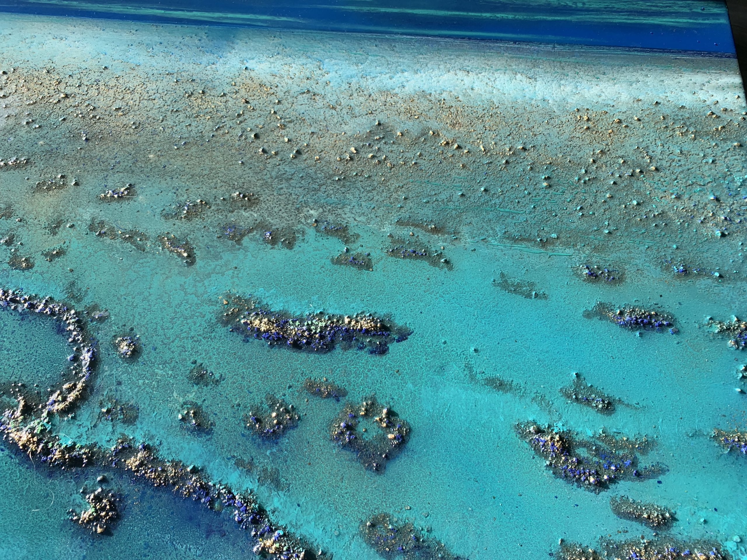 Heart Reef Petra Meikle De Vlasimg 4627