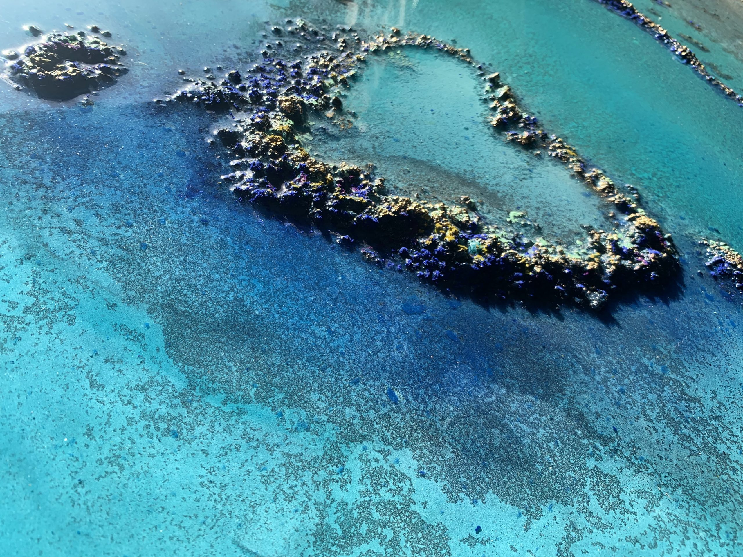 Heart Reef Petra Meikle De Vlasimg 4622