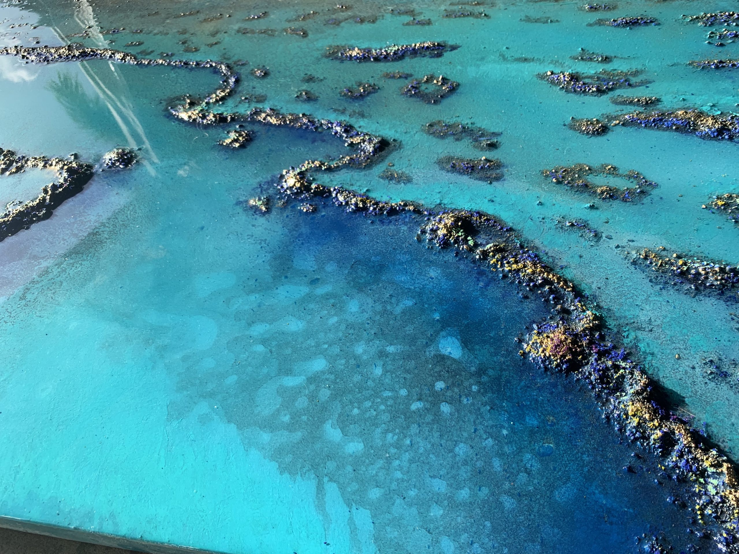 Heart Reef Petra Meikle De Vlasimg 4624(1)