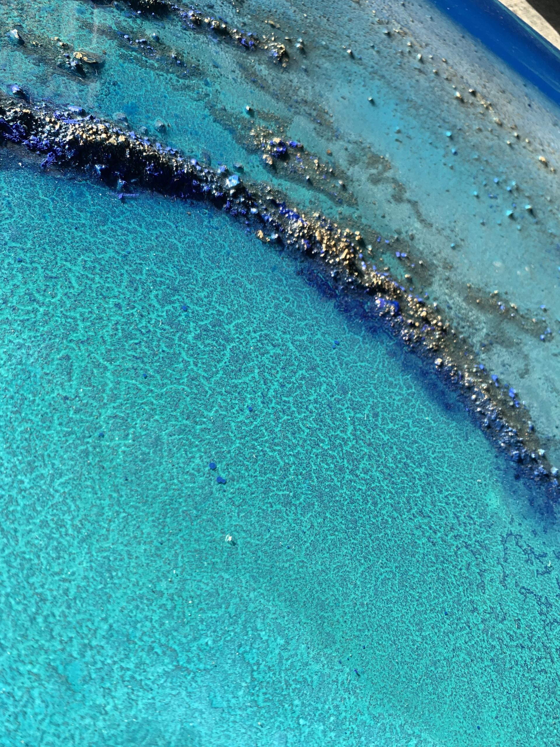 Heart Reef Petra Meikle De Vlasimg 4619