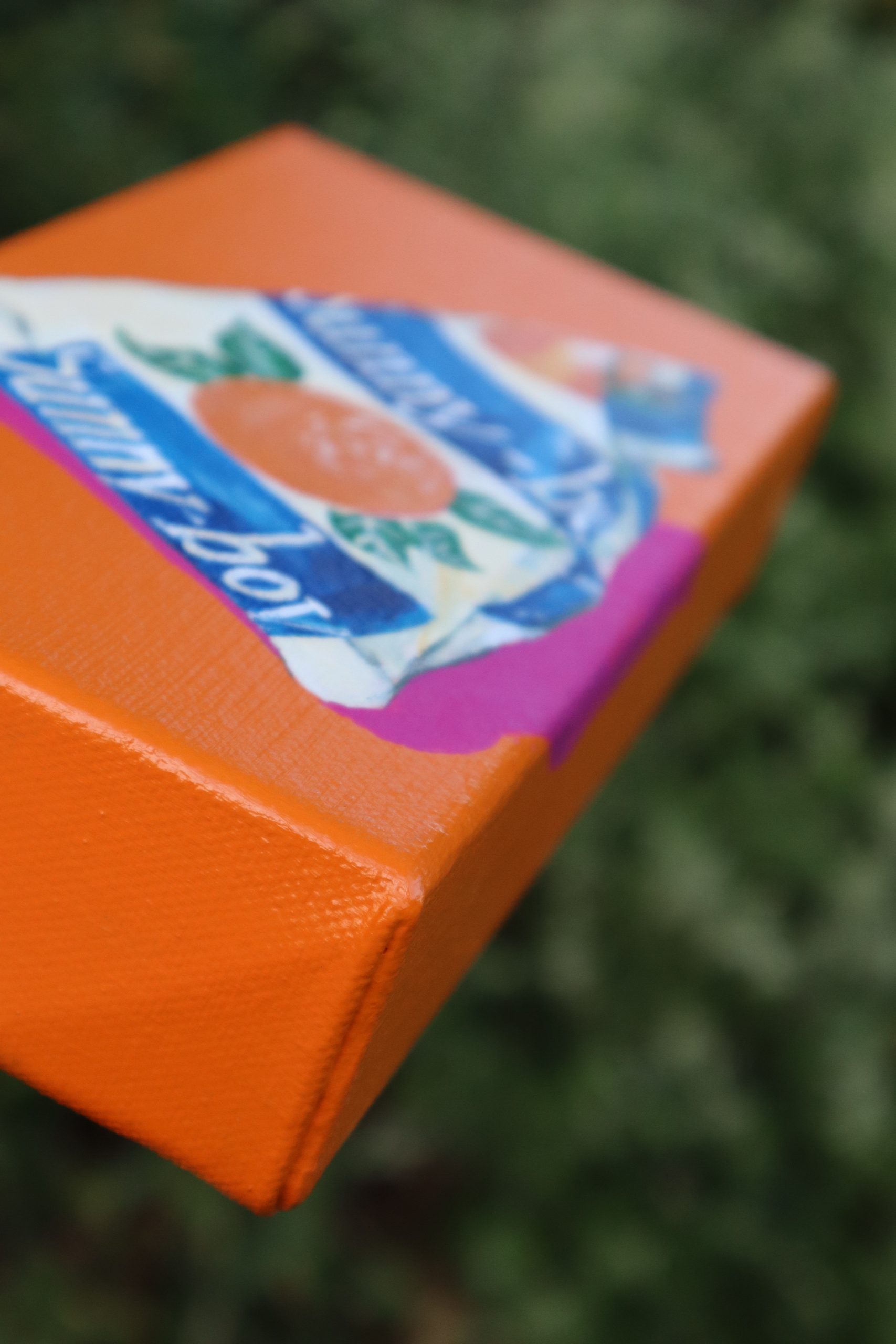 Sunny Boy Mini #15 Crop 1