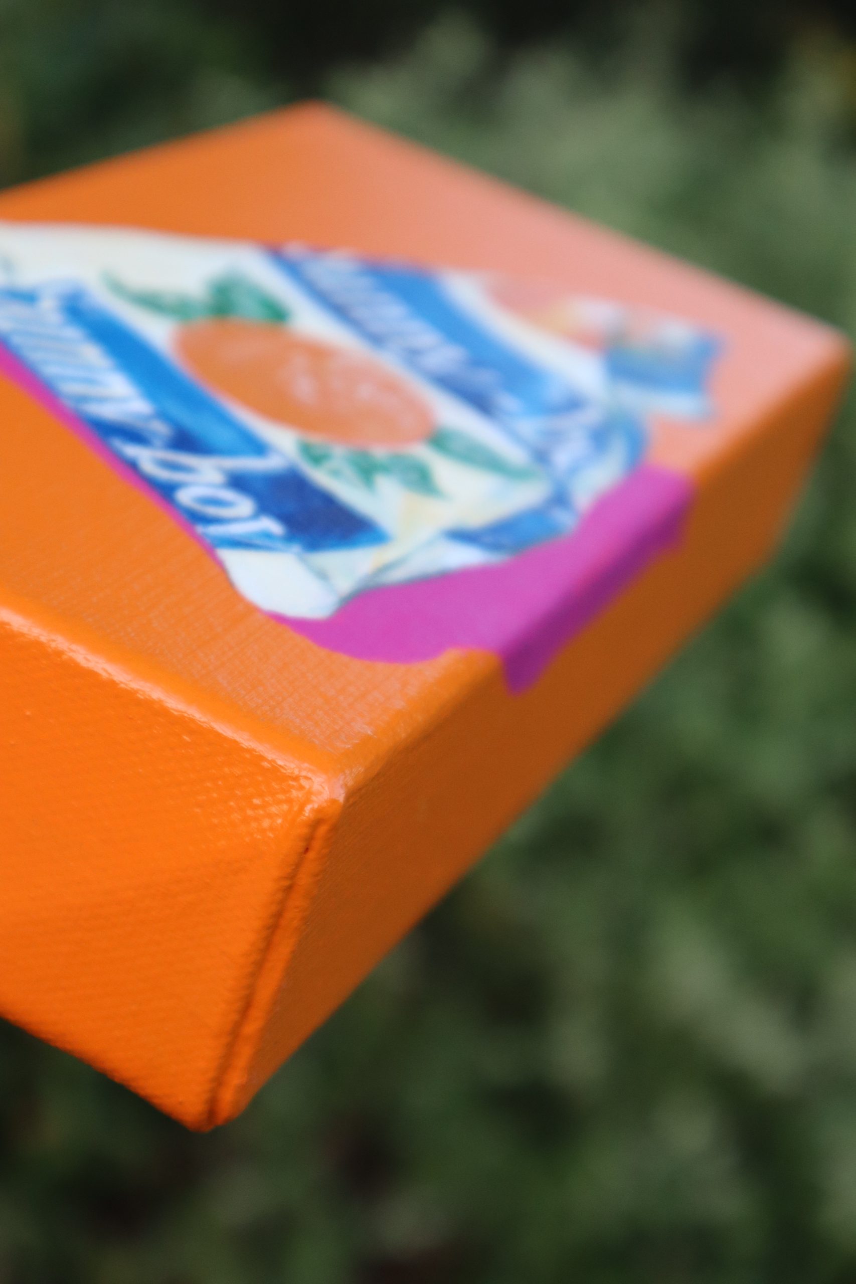 Sunny Boy Mini #15 Crop 3