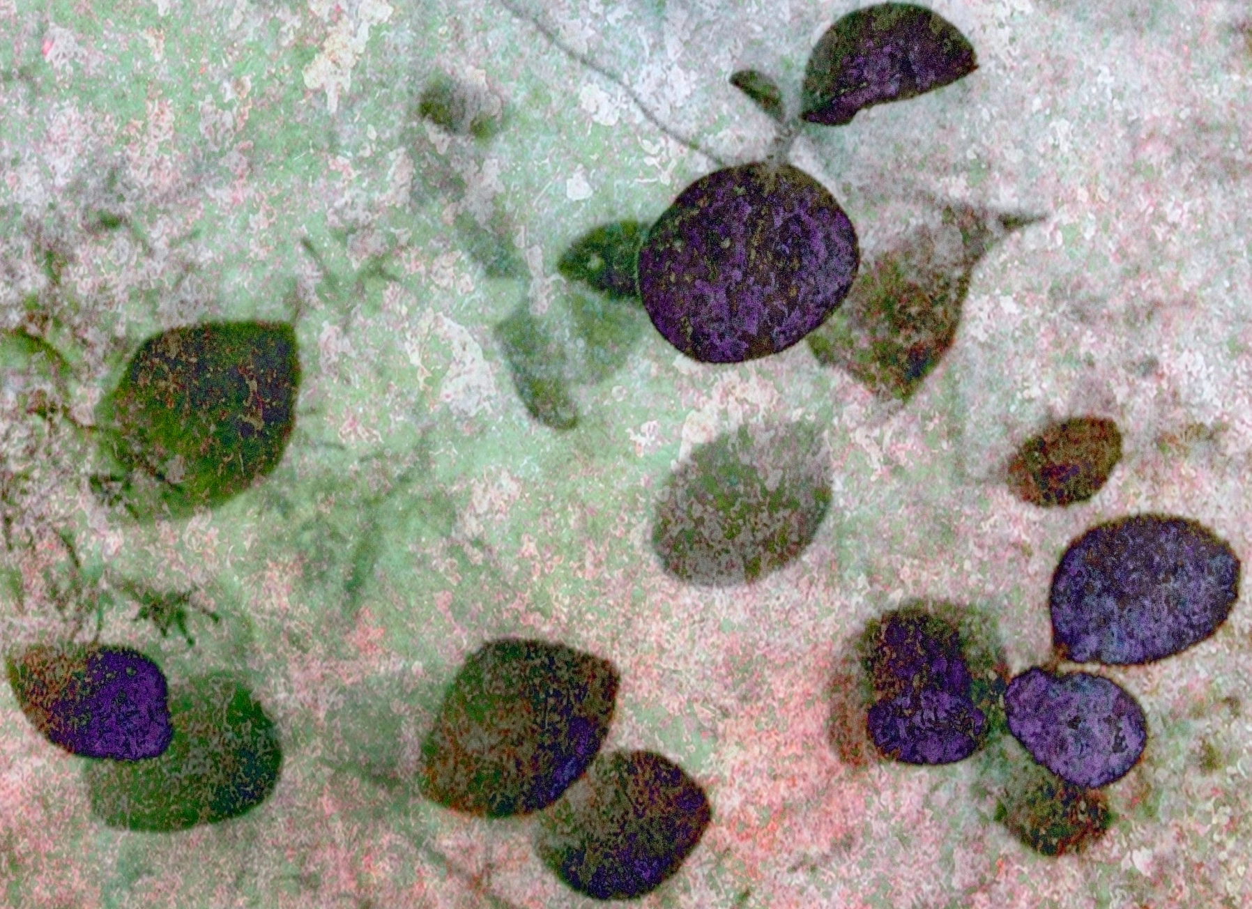 Garden Of The Senses Detail