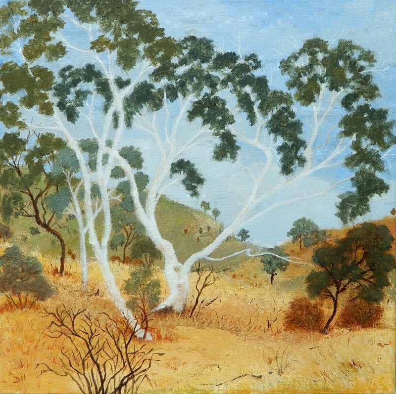 Outback Trees