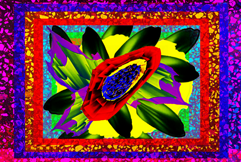 Street Urban Art  collection number 163