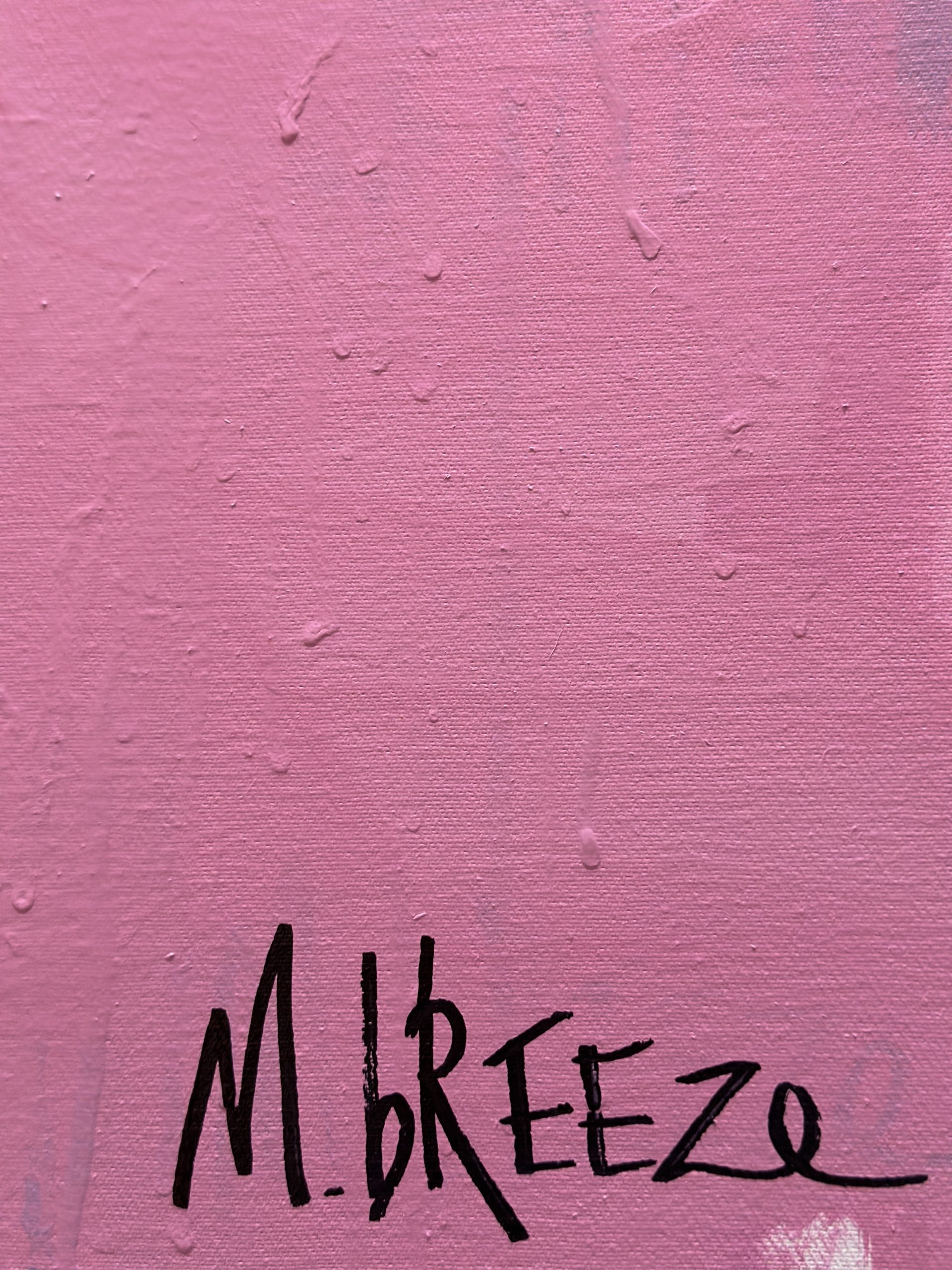 Martin Breeze Things Behind Walls Signed