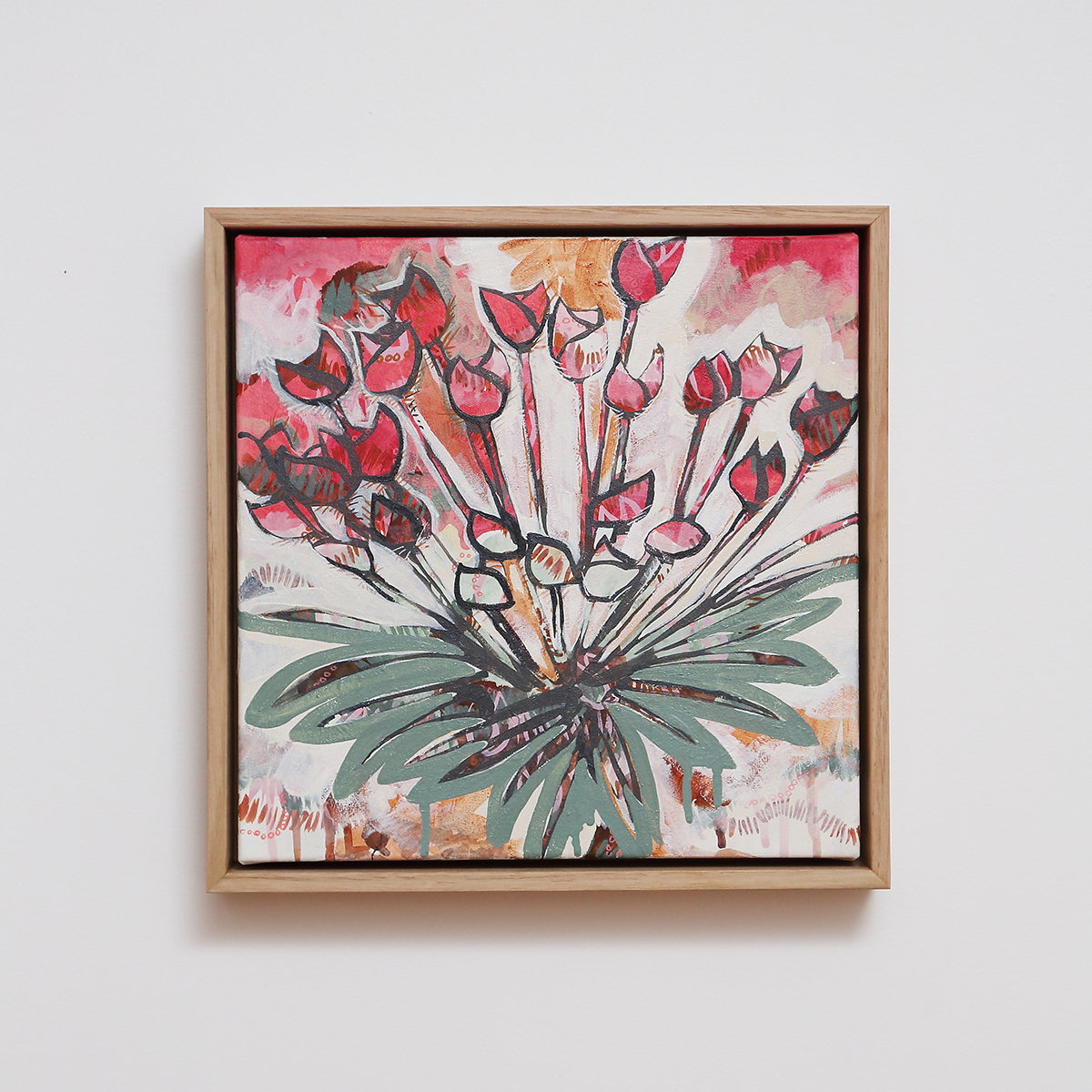 Lr 002 Centrolepis Form I Smith & Brooks Art Art For Interior Deisgners Melbourne Native Plants Ready To Hang Artwork