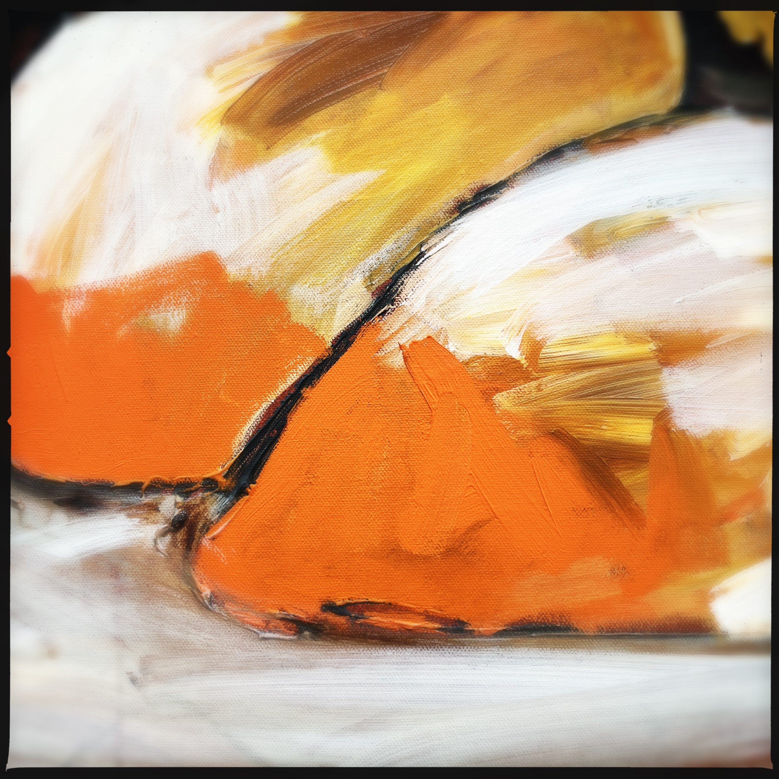 Hipstamaticphoto 728697700.177210