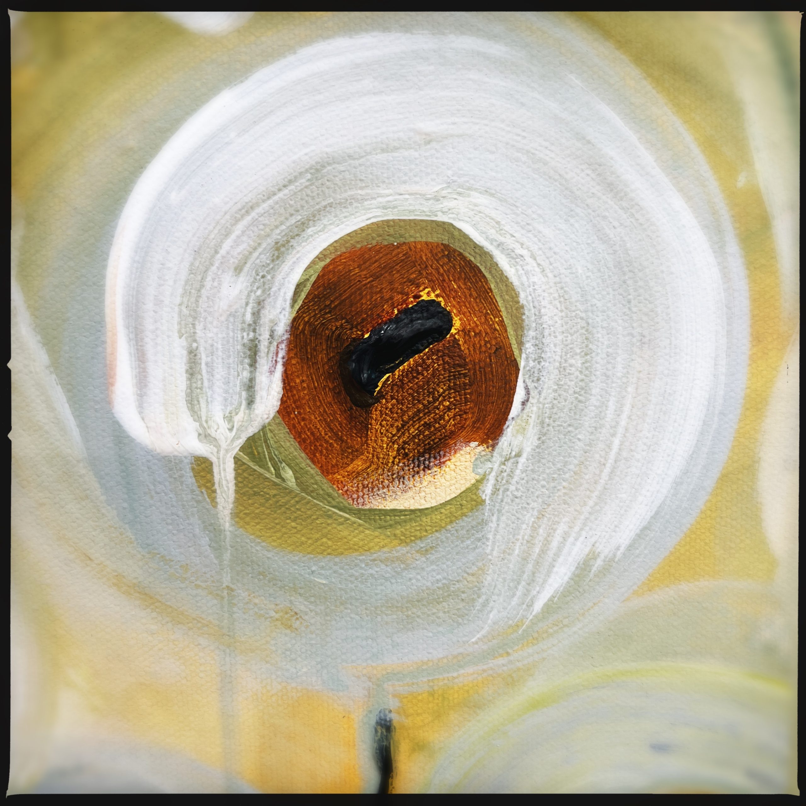 Hipstamaticphoto 727935444.035062