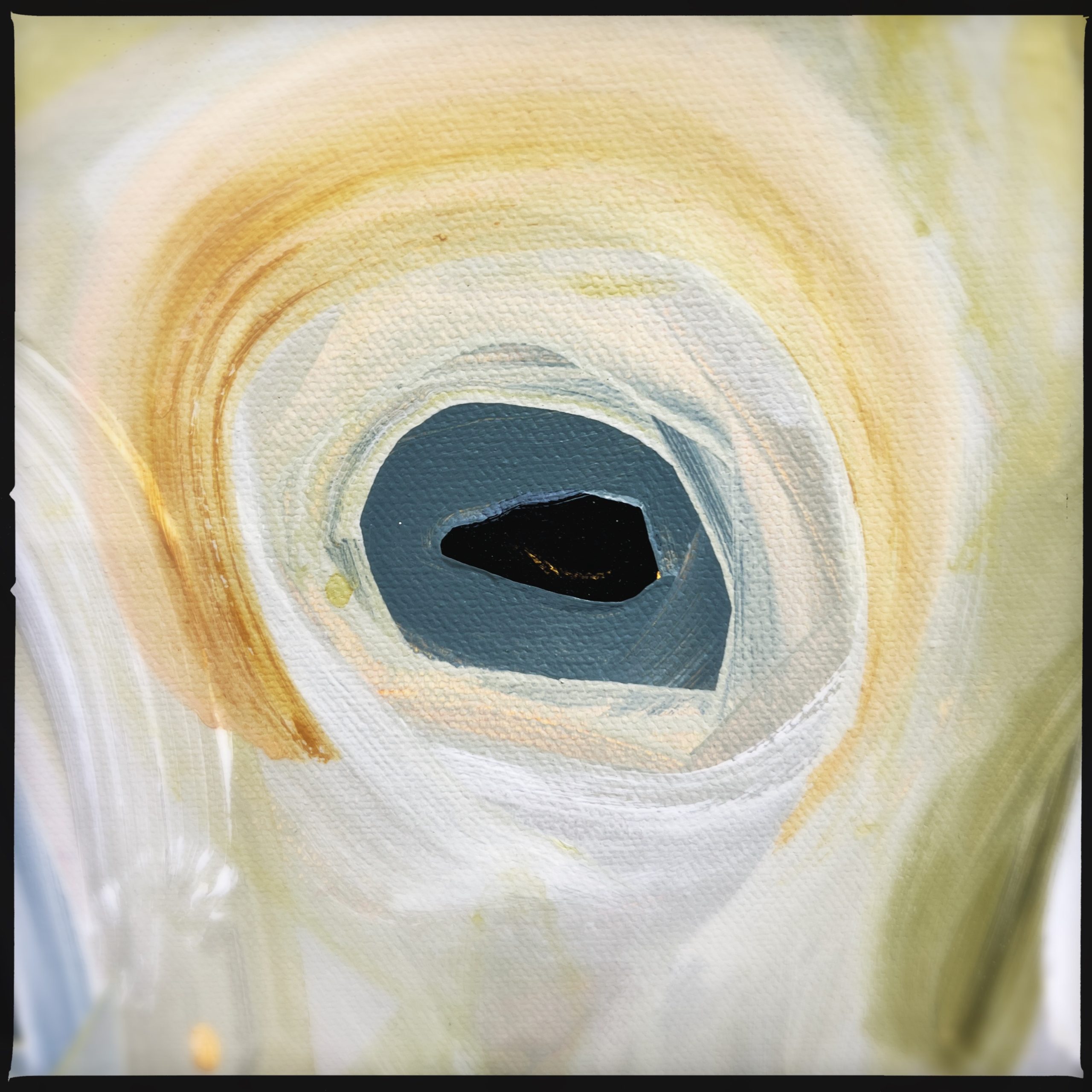 Hipstamaticphoto 727935142.616950