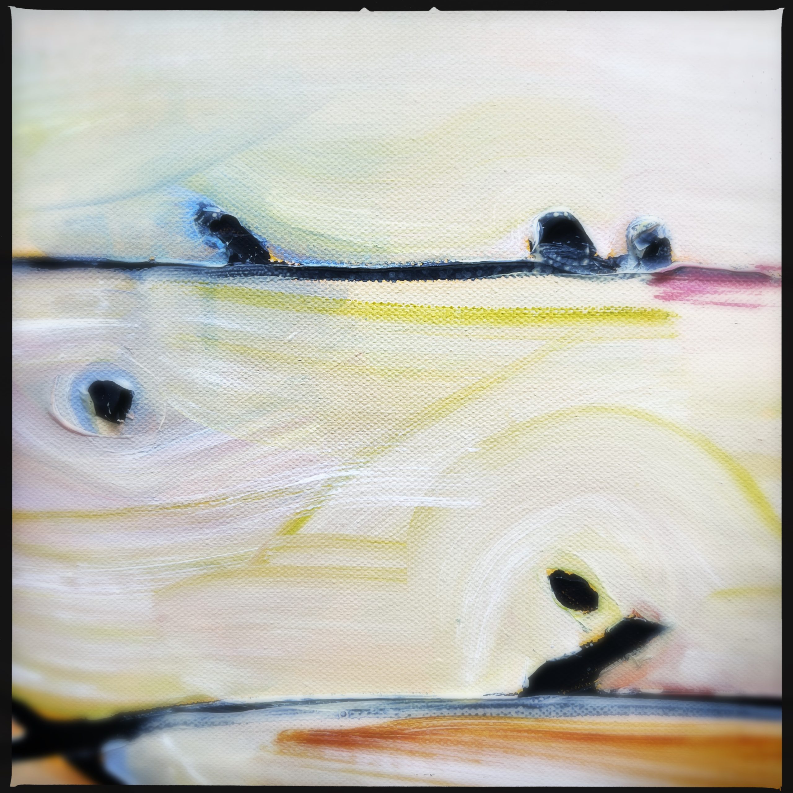 Hipstamaticphoto 713321864.065119