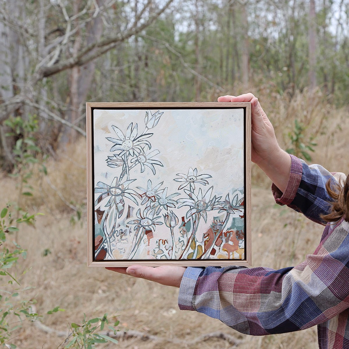 Lr 007 Flannel Flower Moment I Smith & Brooks Art Art For Interior Deisgners Melbourne Native Plants Ready To Hang Artwork