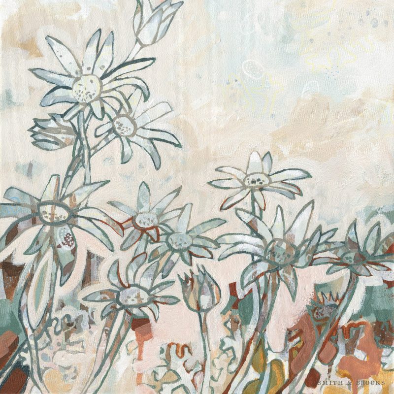 Flannel Flower Moment I – Ltd Ed Print