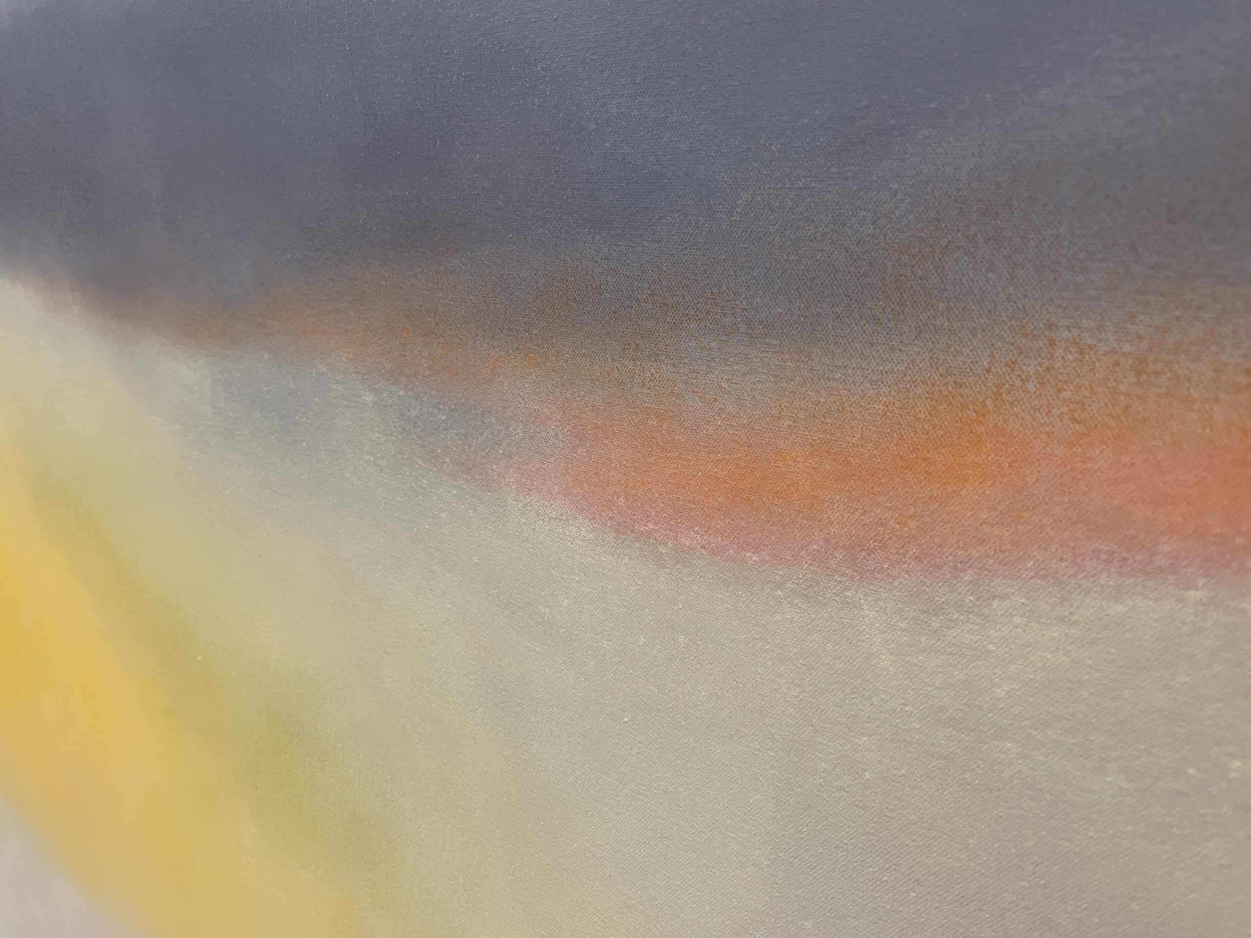 Img 1693 Colour Field 18 Closeup 2