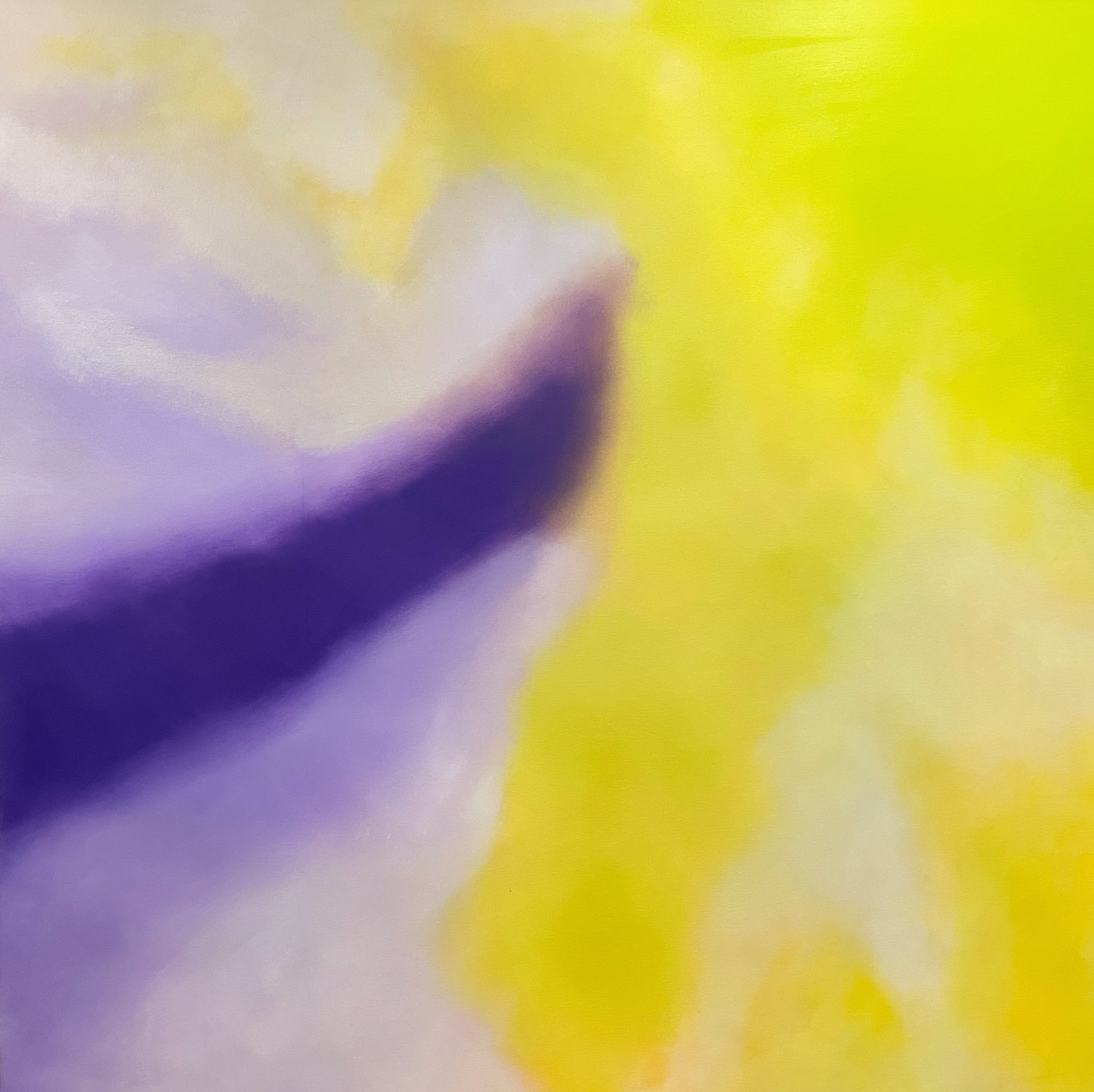 Img 1700 Colour Field 5 Cropped