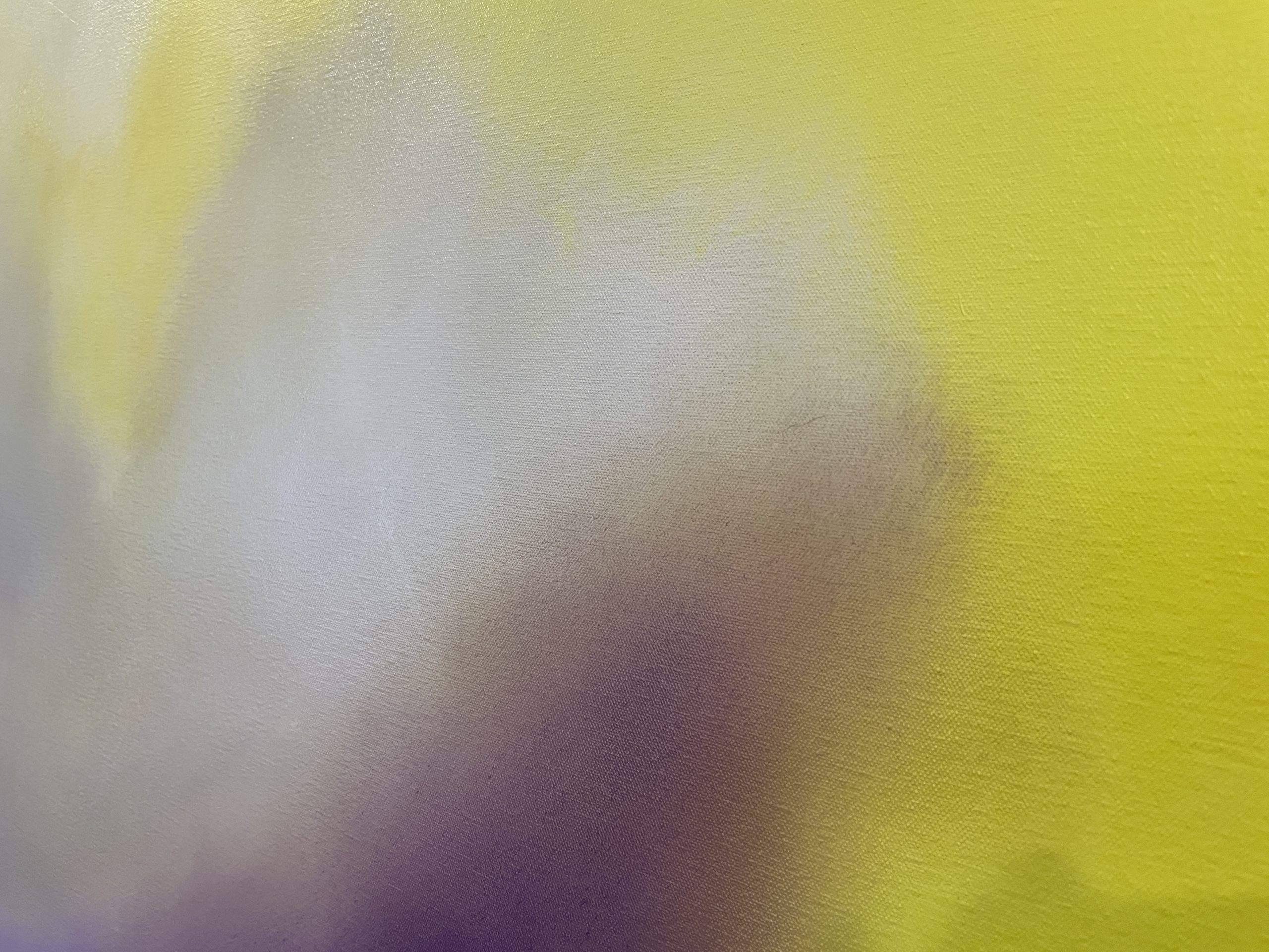 Img 1701 Colour Field 5 Closeup 1