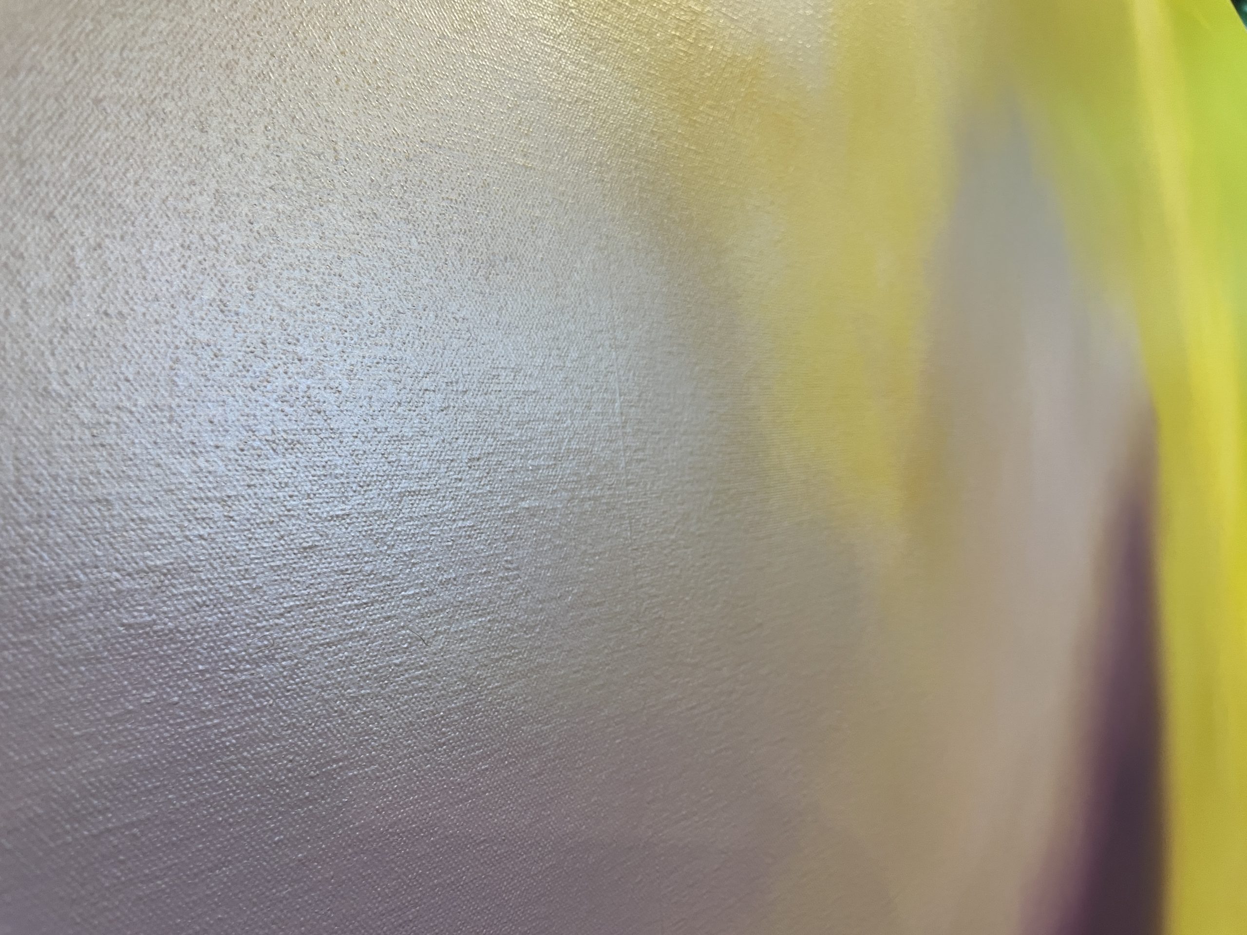 Img 1703 Colour Field 5 Closeup 2