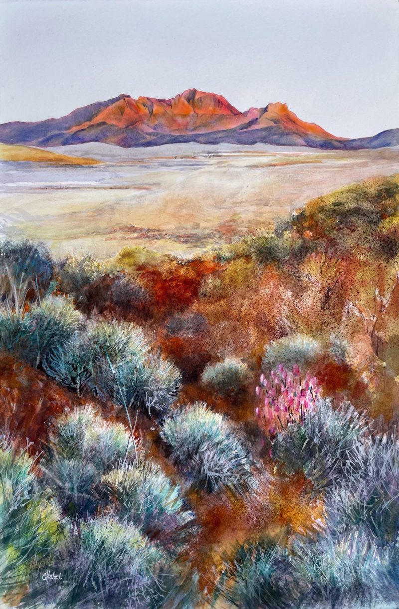 Outback Pilbara desert landscape