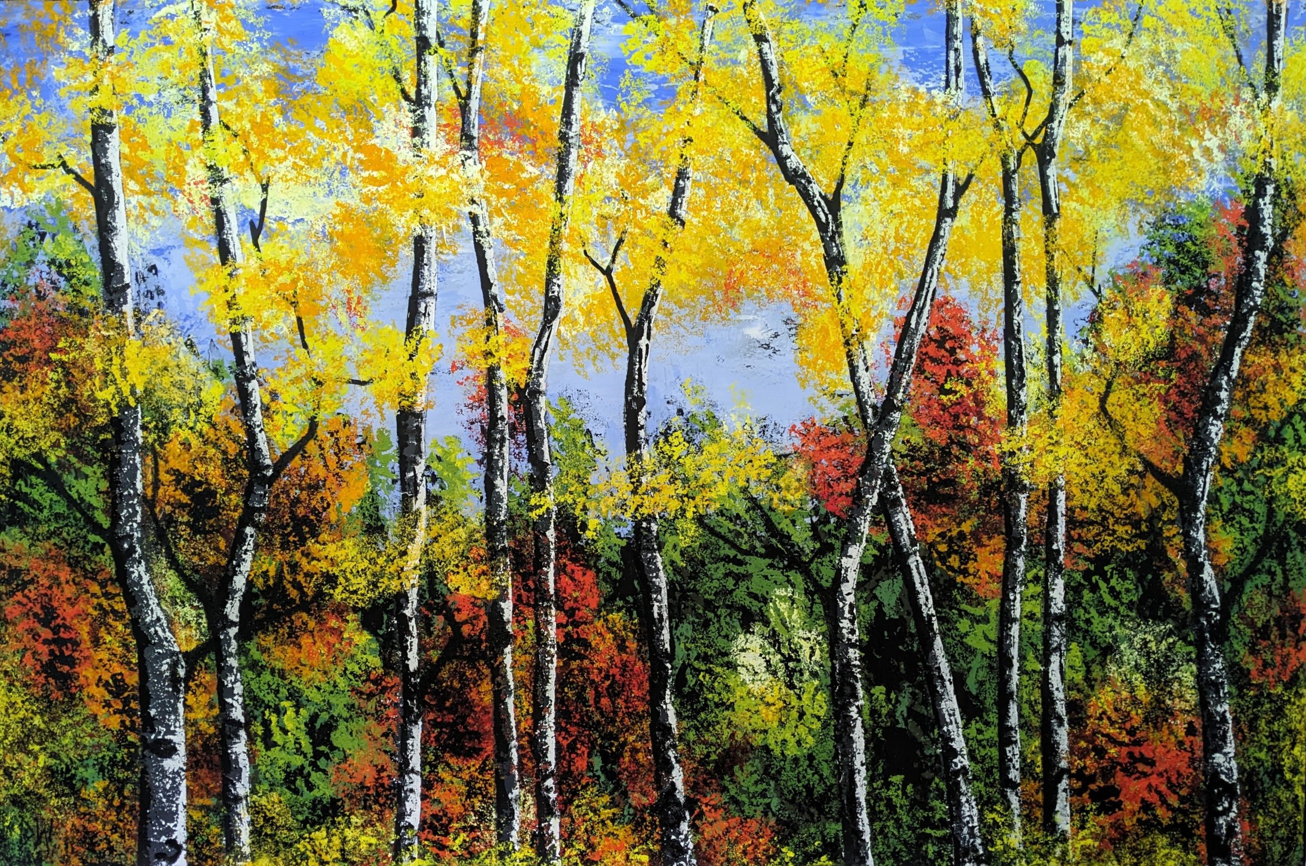 Autumn Fall Birch 8 Close Crop