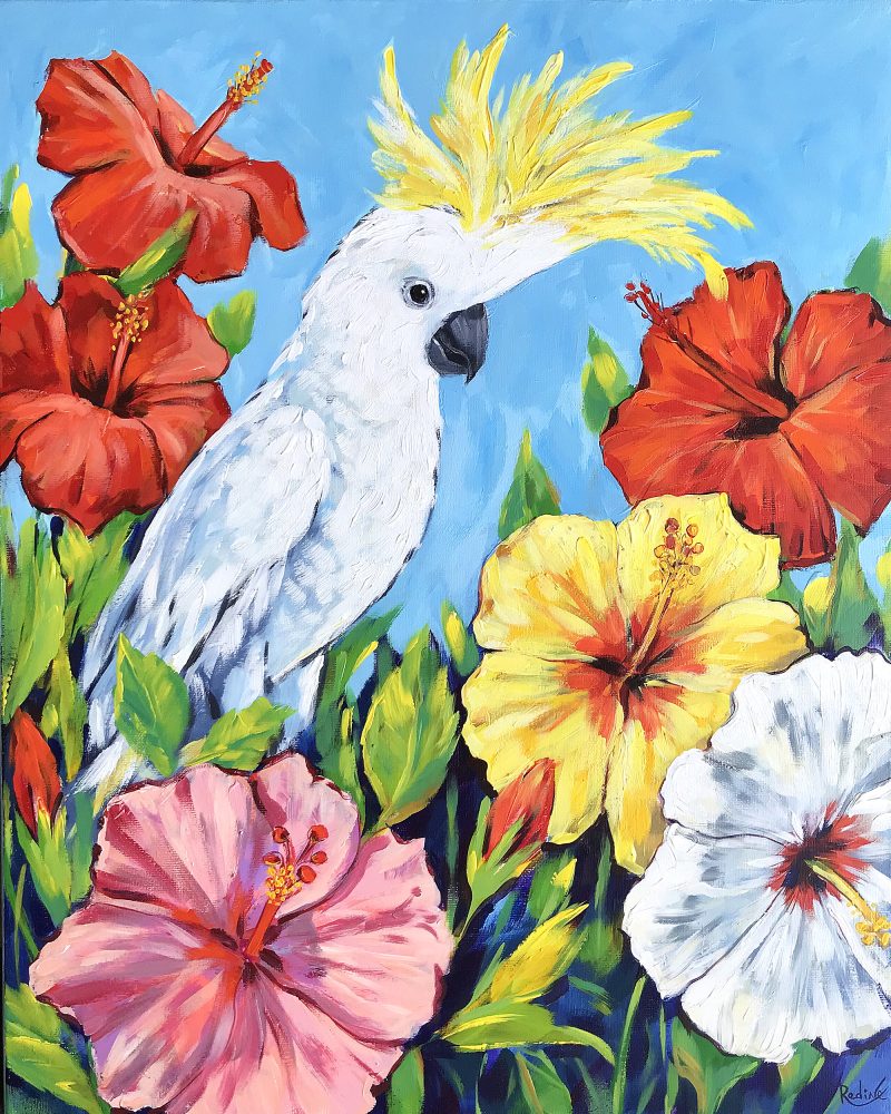 Sulphur-Crested Cockatoo and Hibiscus flowers