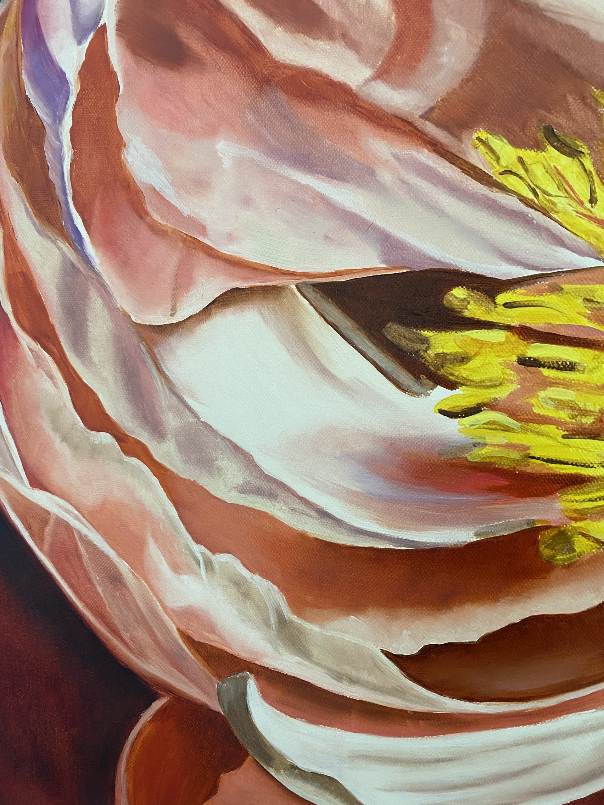 Coral Charm Closeup1 Wendy Peters