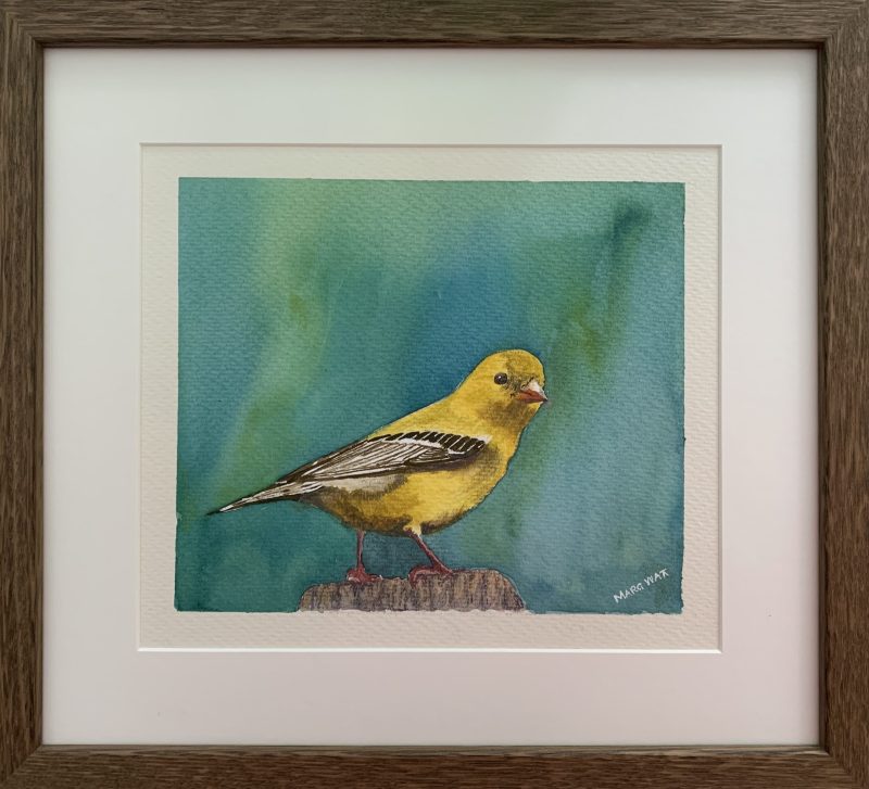 Little Yellow Bird- Framed watercolour