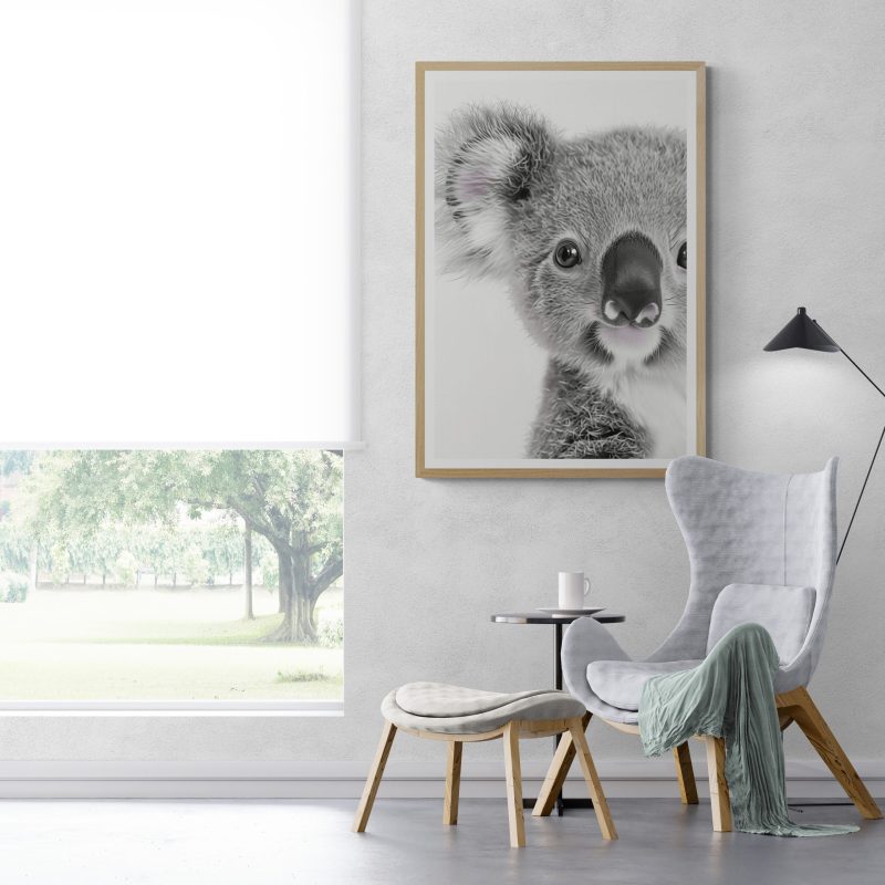 Baby Koala | Glass Framed Fine Art Print
