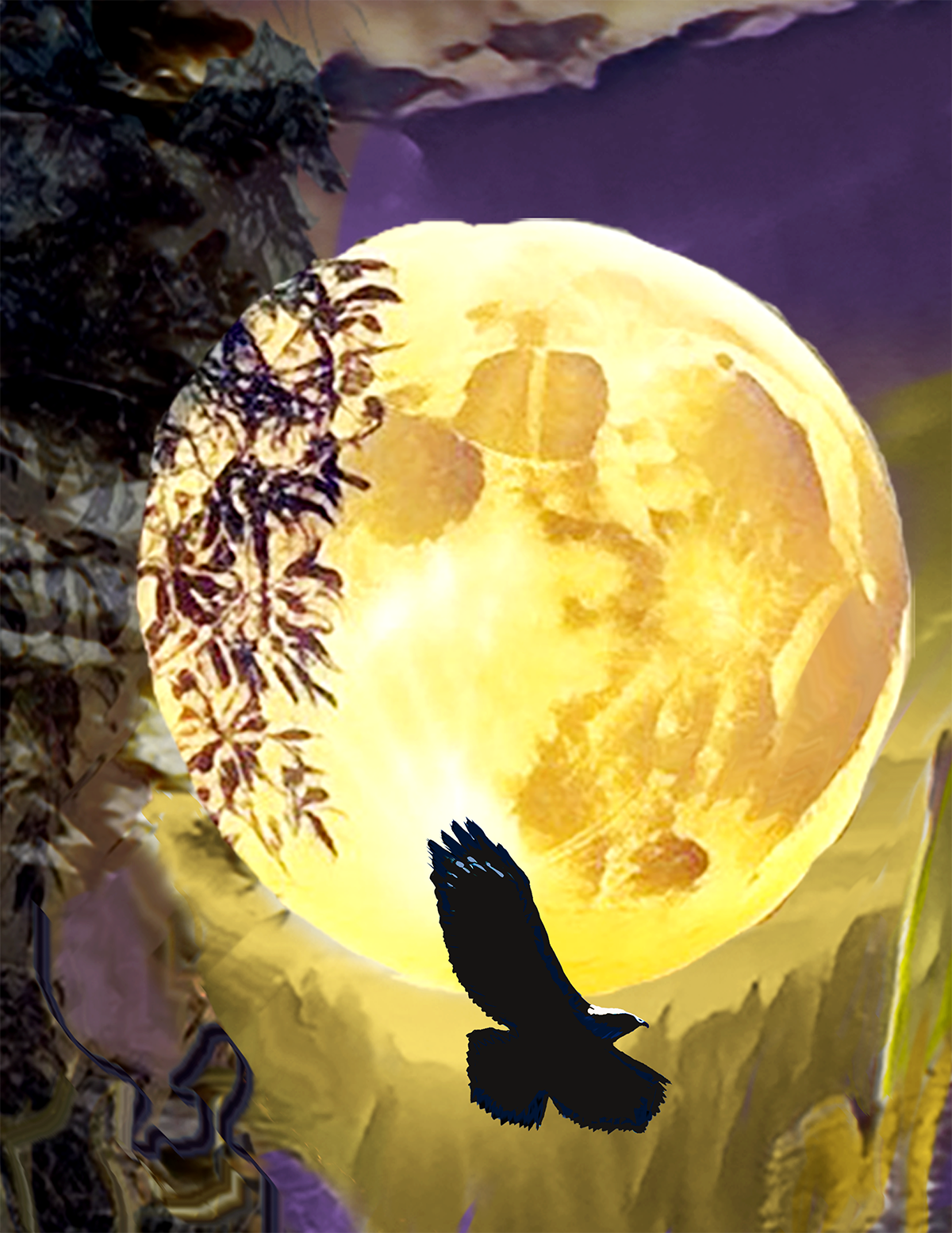 Street Urban Art Collection Number 0193 Web 2