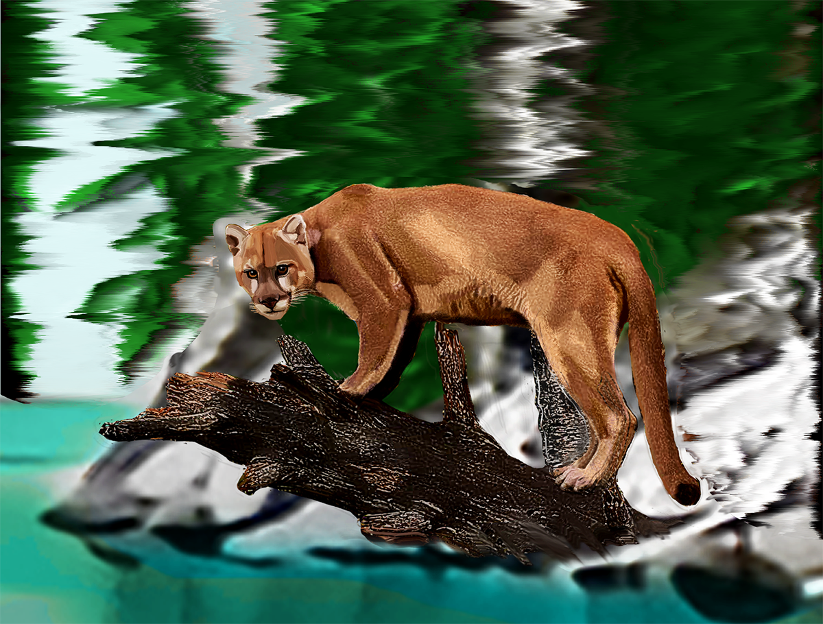 Street Urban Art Collection Number 0193 Web 3