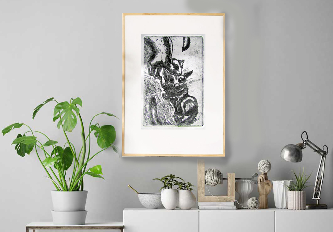 Sugar Gladers Insitu1