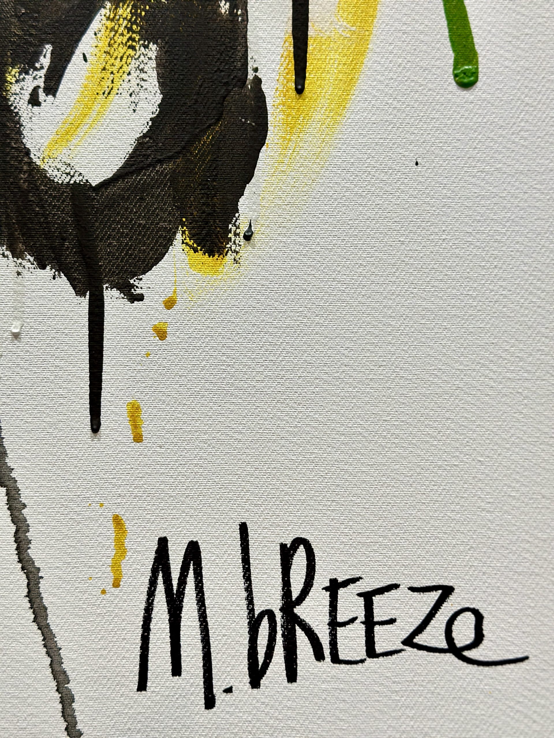 Martin Breeze Tribal Bible Signed