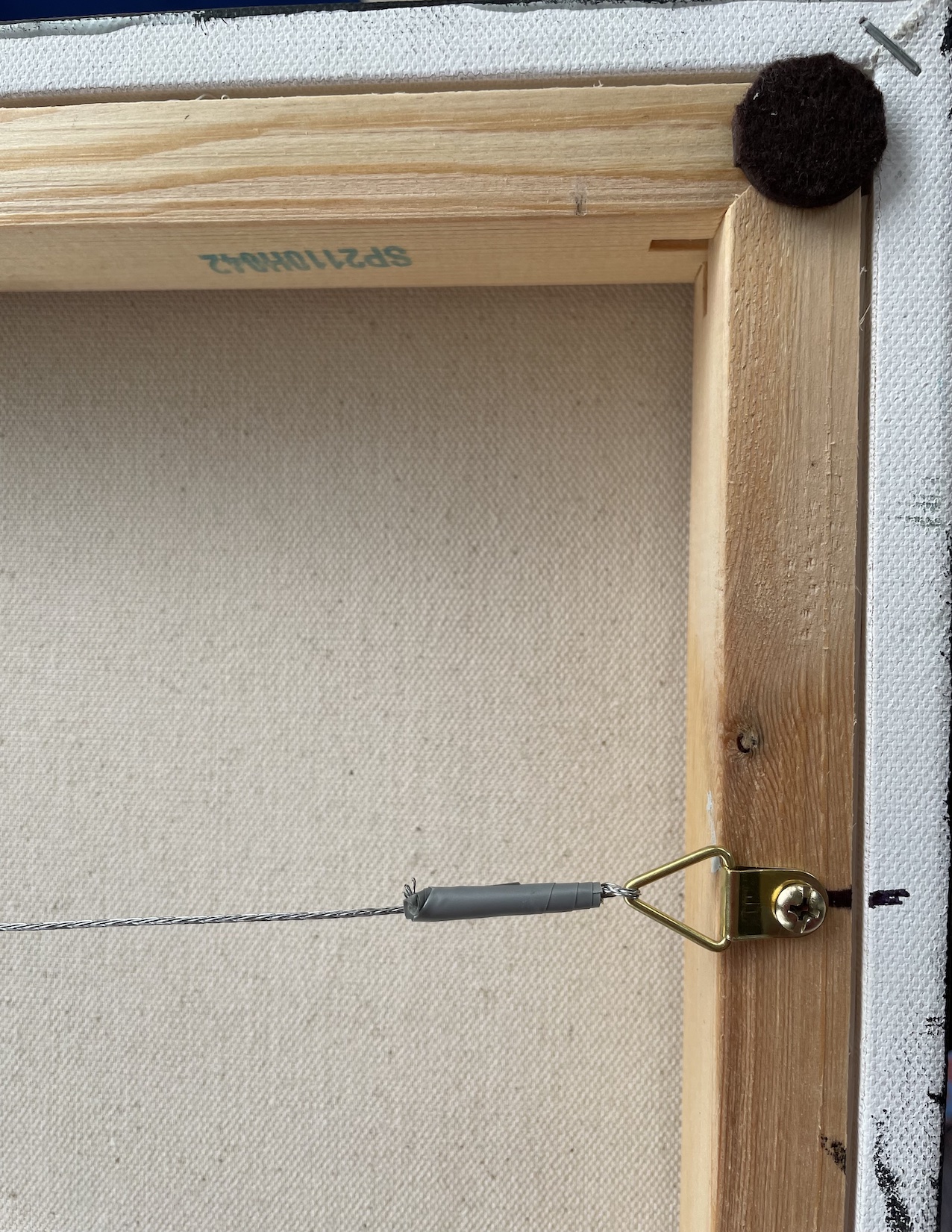 Coy Koi Hanging Copy Coy Koi Hanging Copy