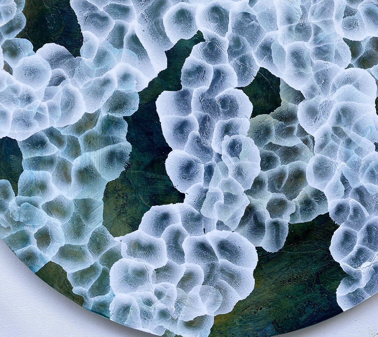 Bio Sphere Rockpool Bloom Detail E