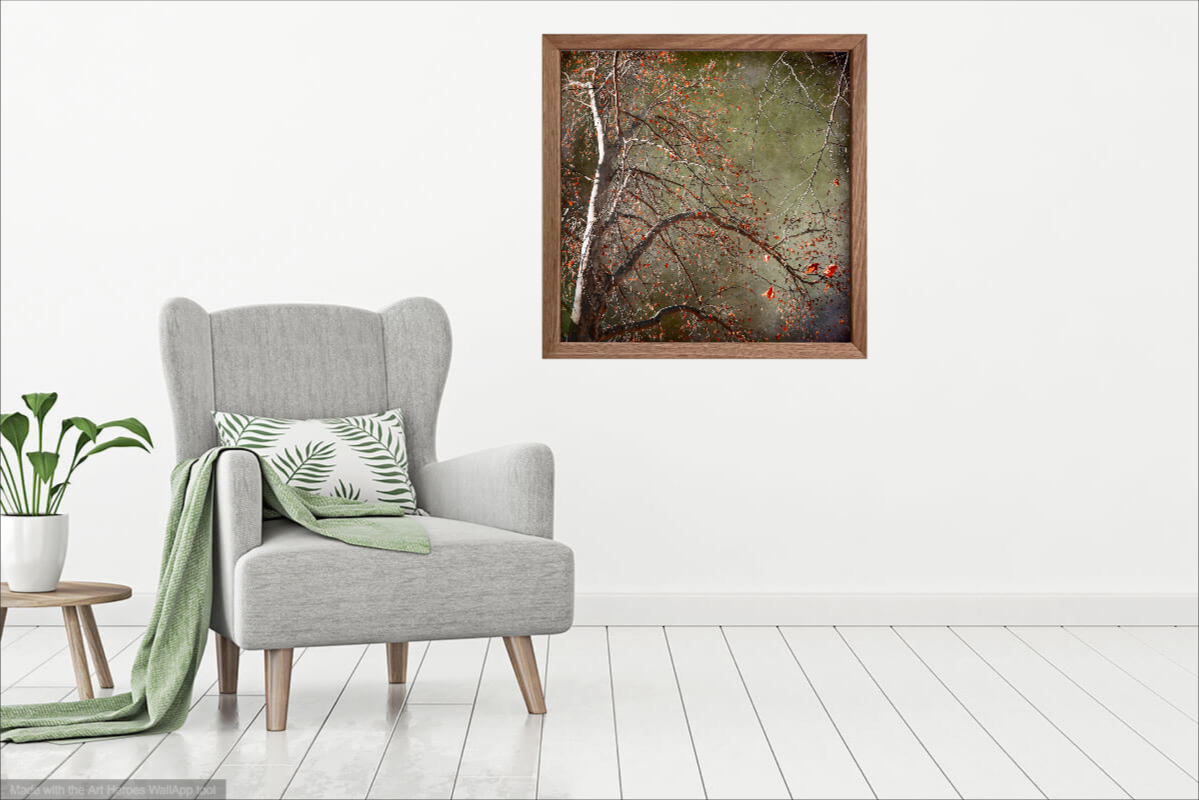 Cloud Of Unknowing In Situ 1