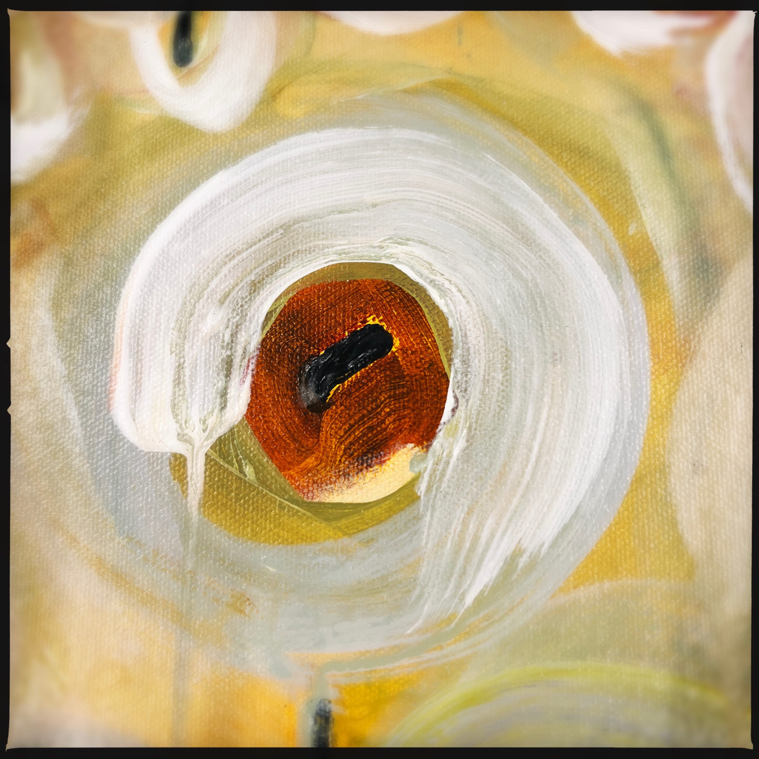 Hipstamaticphoto 729060107.026199