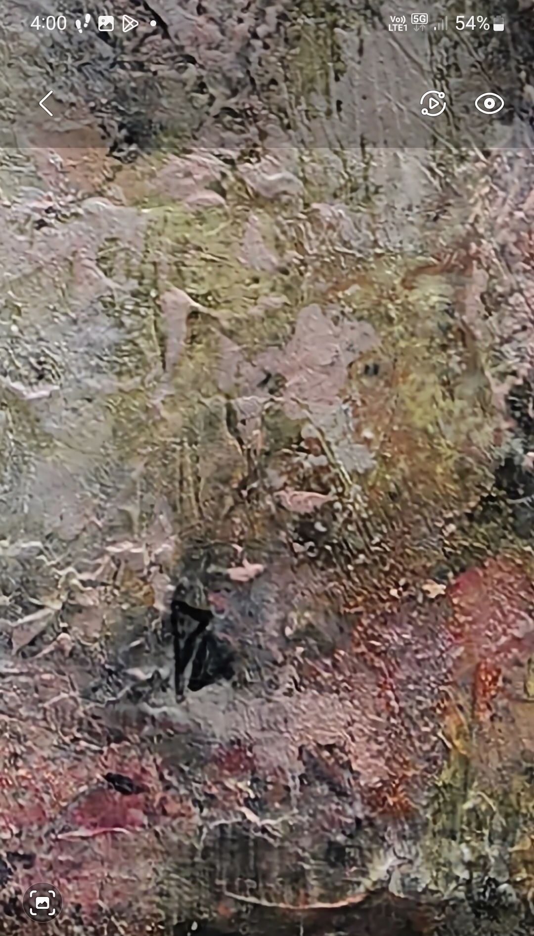 B3a2601e 9ad9 4885 Bc01 3a0bbf3e827b