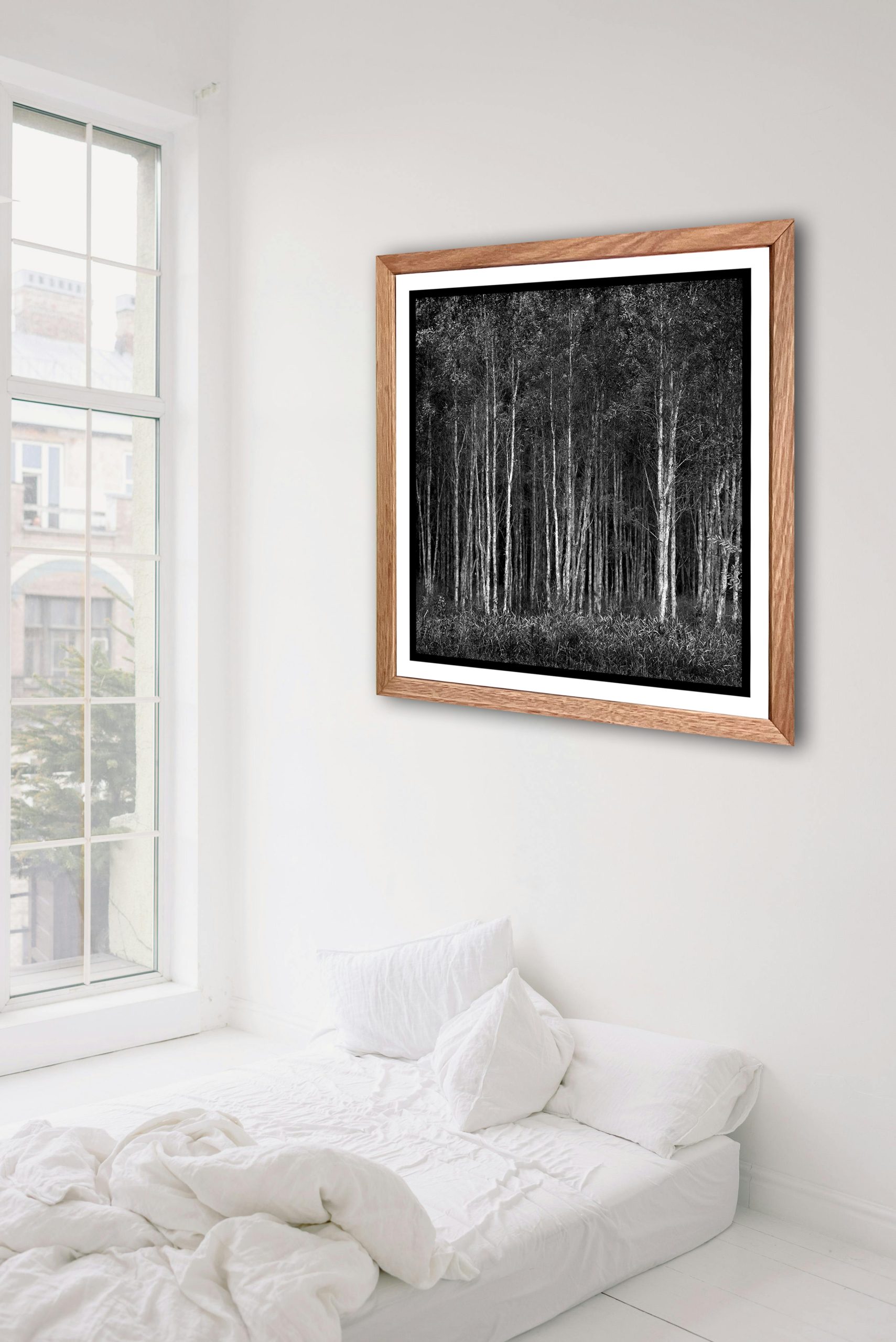 Deep Forest In Situ 2