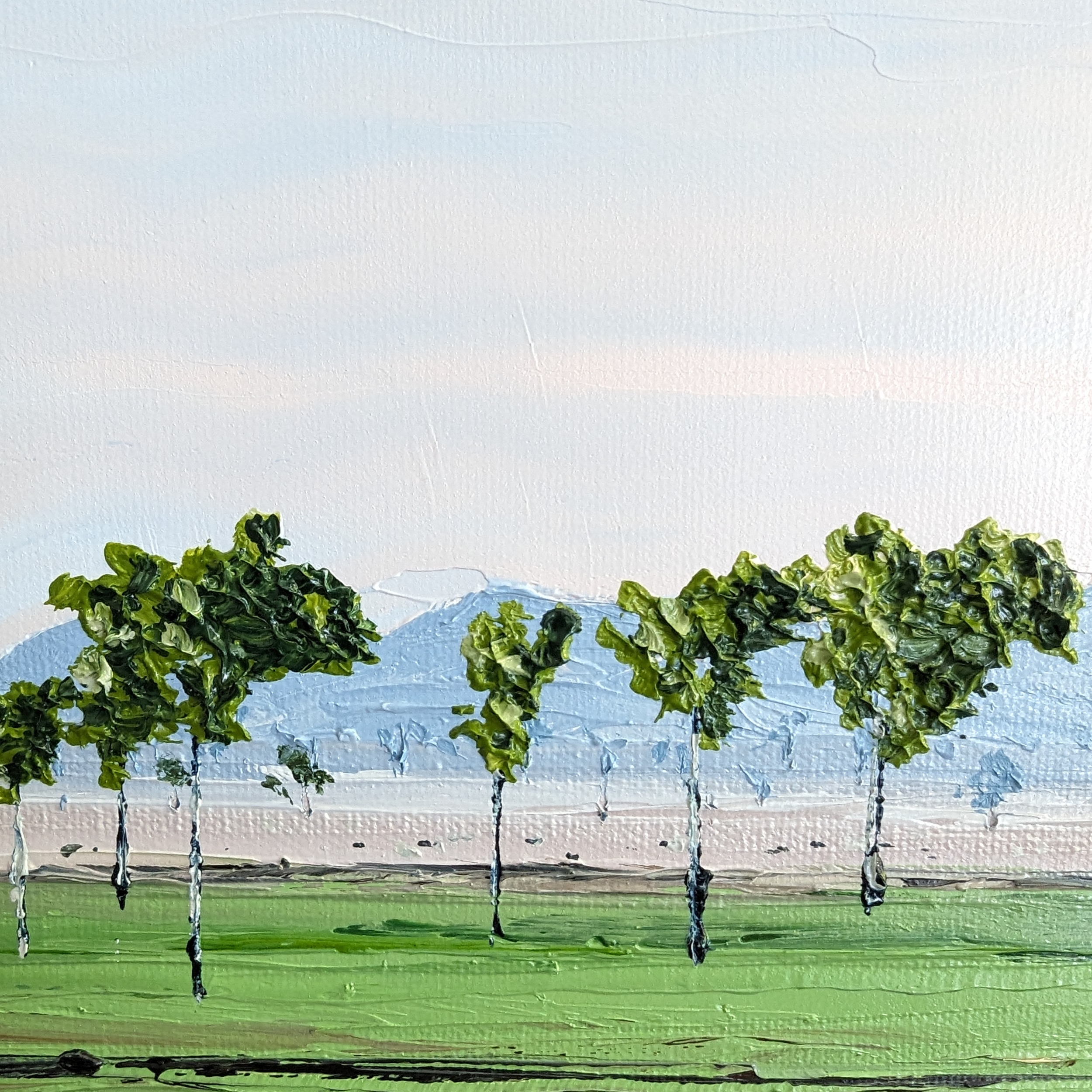 Sam Askin Endless Field Drive By Ala Gum Trees